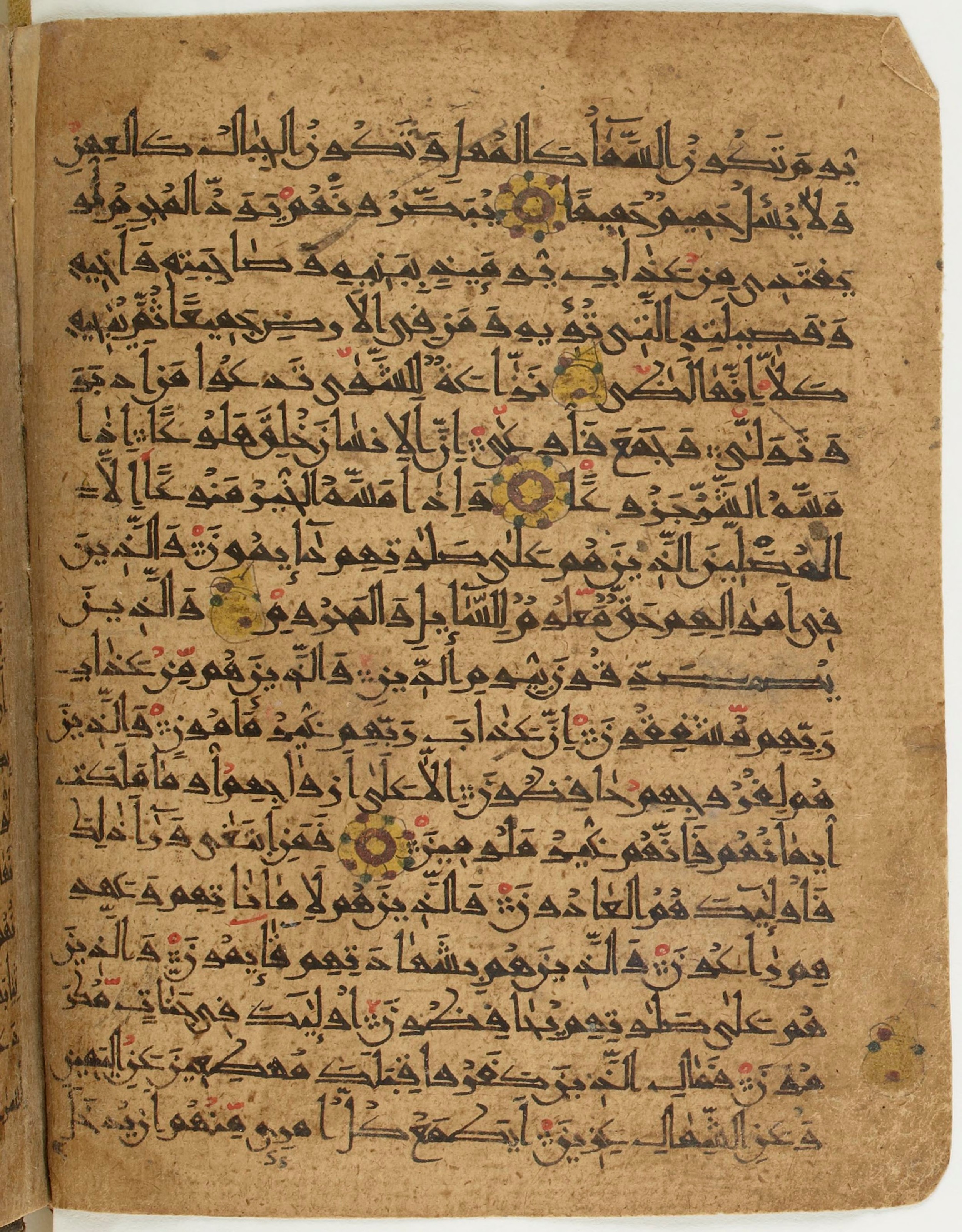 BNF Arabe 6430, in Naskh (NS 1) script, showing Surah 70:21 from 10th Century AD found in Unknown, currently housed at Bibliothèque nationale de France, Paris