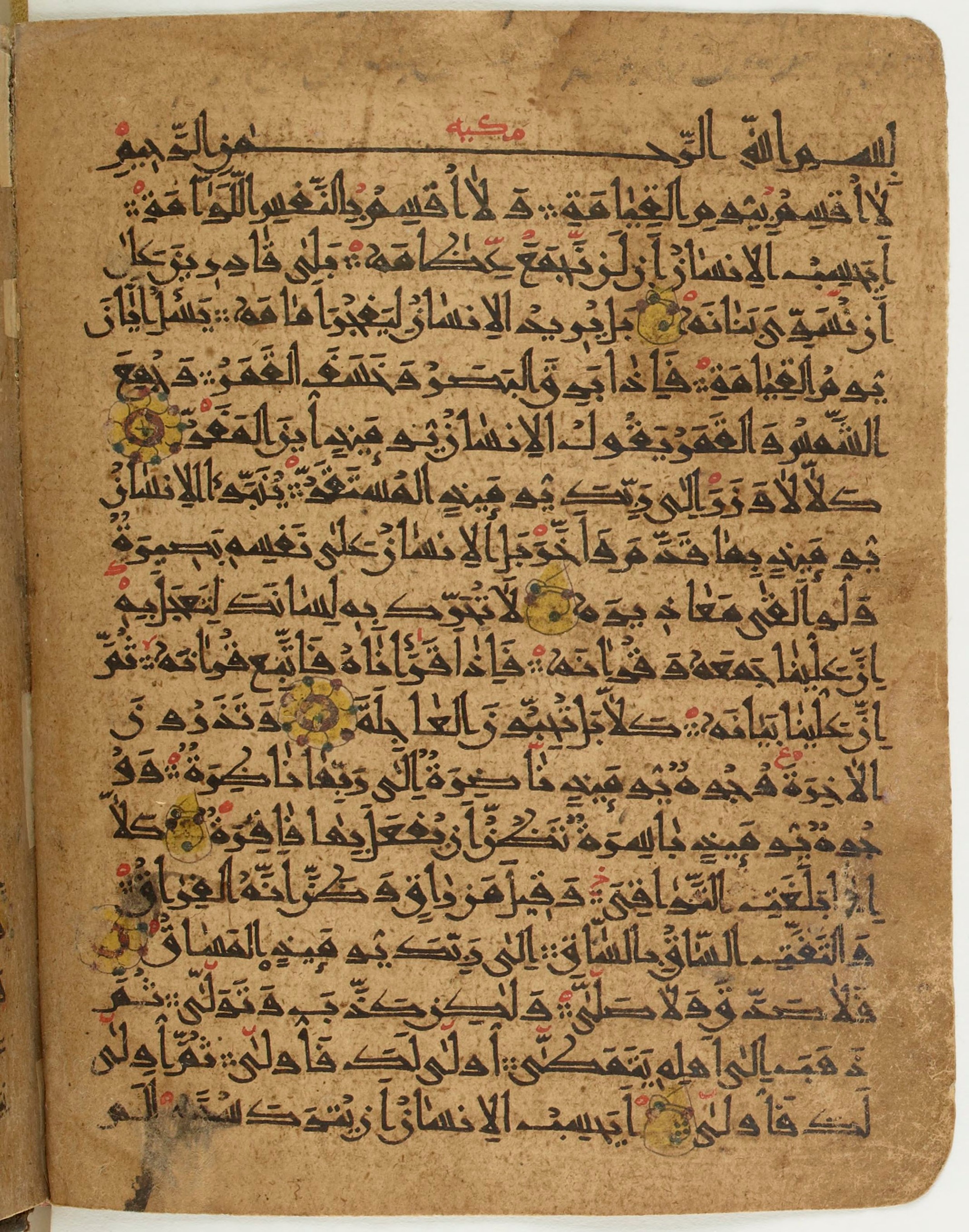 BNF Arabe 6430, in Naskh (NS 1) script, showing Surah 75:21 from 10th Century AD found in Unknown, currently housed at Bibliothèque nationale de France, Paris