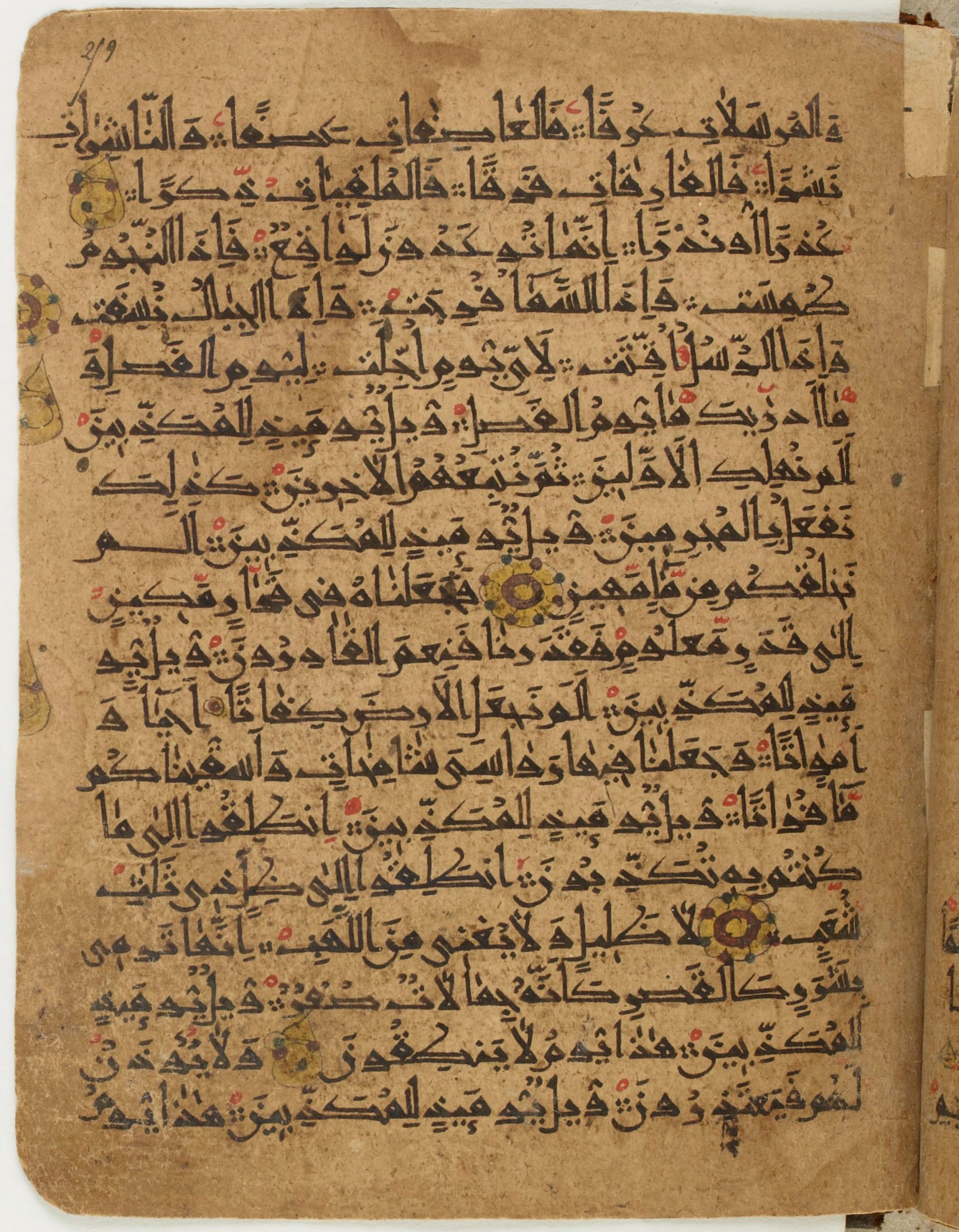 BNF Arabe 6430, in Naskh (NS 1) script, showing Surah 77:21 from 10th Century AD found in Unknown, currently housed at Bibliothèque nationale de France, Paris