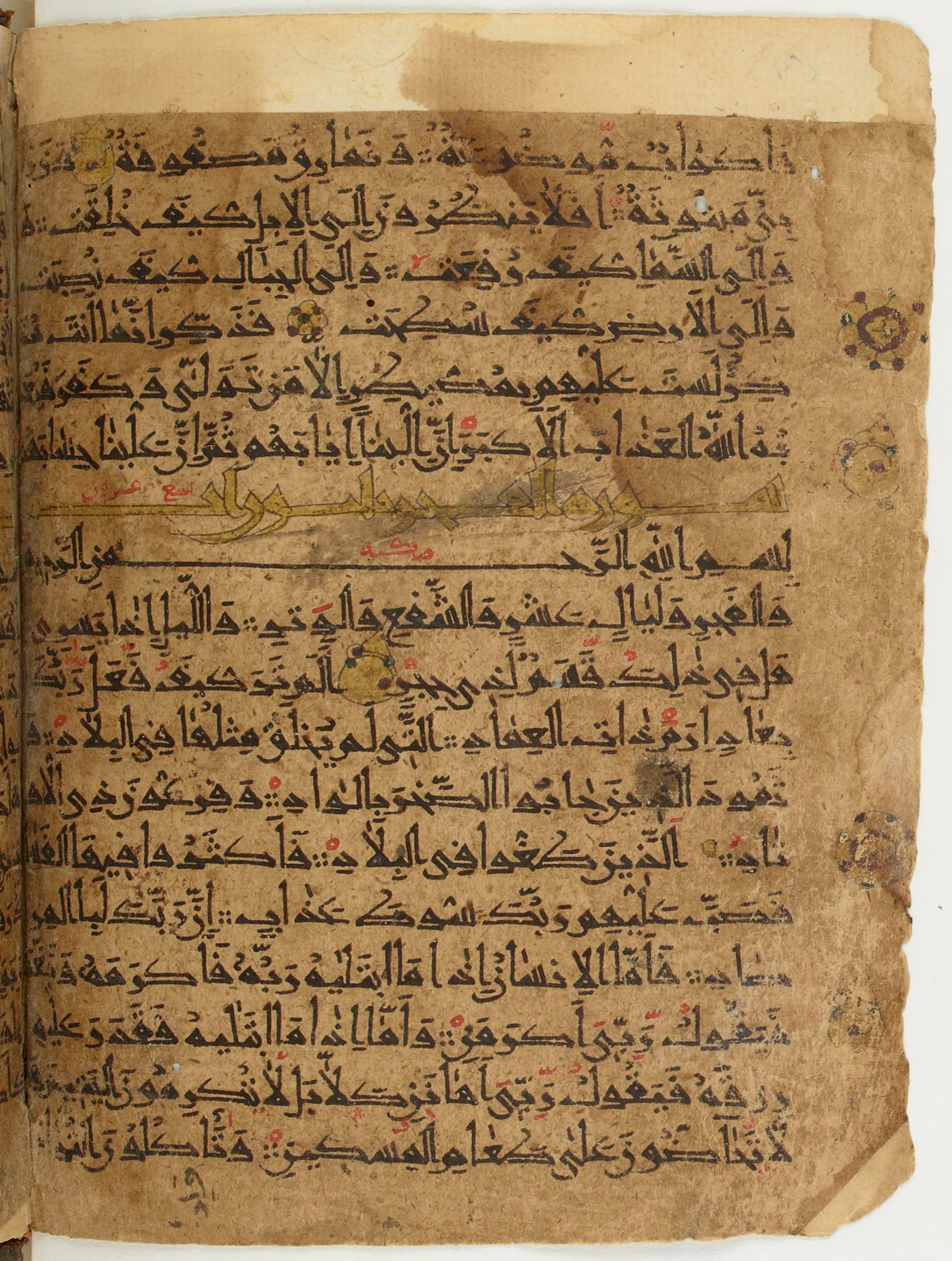 BNF Arabe 6430, in Naskh (NS 1) script, showing Surah 88:21 from 10th Century AD found in Unknown, currently housed at Bibliothèque nationale de France, Paris