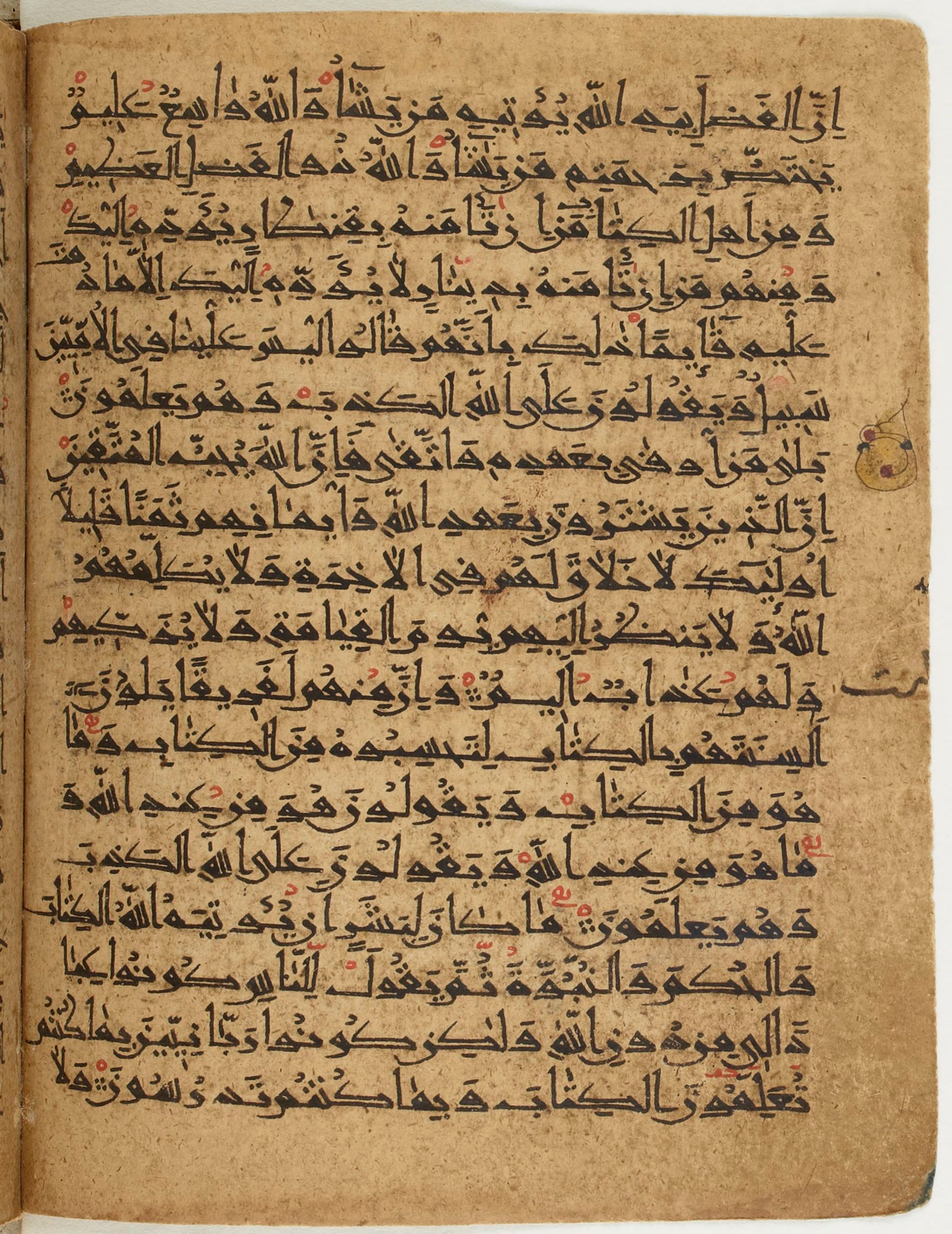 BNF Arabe 6430 (Scan 2), in Naskh (NS 1) script, showing Surah 3:73 from 10th Century AD found in Unknown, currently housed at Bibliothèque nationale de France, Paris