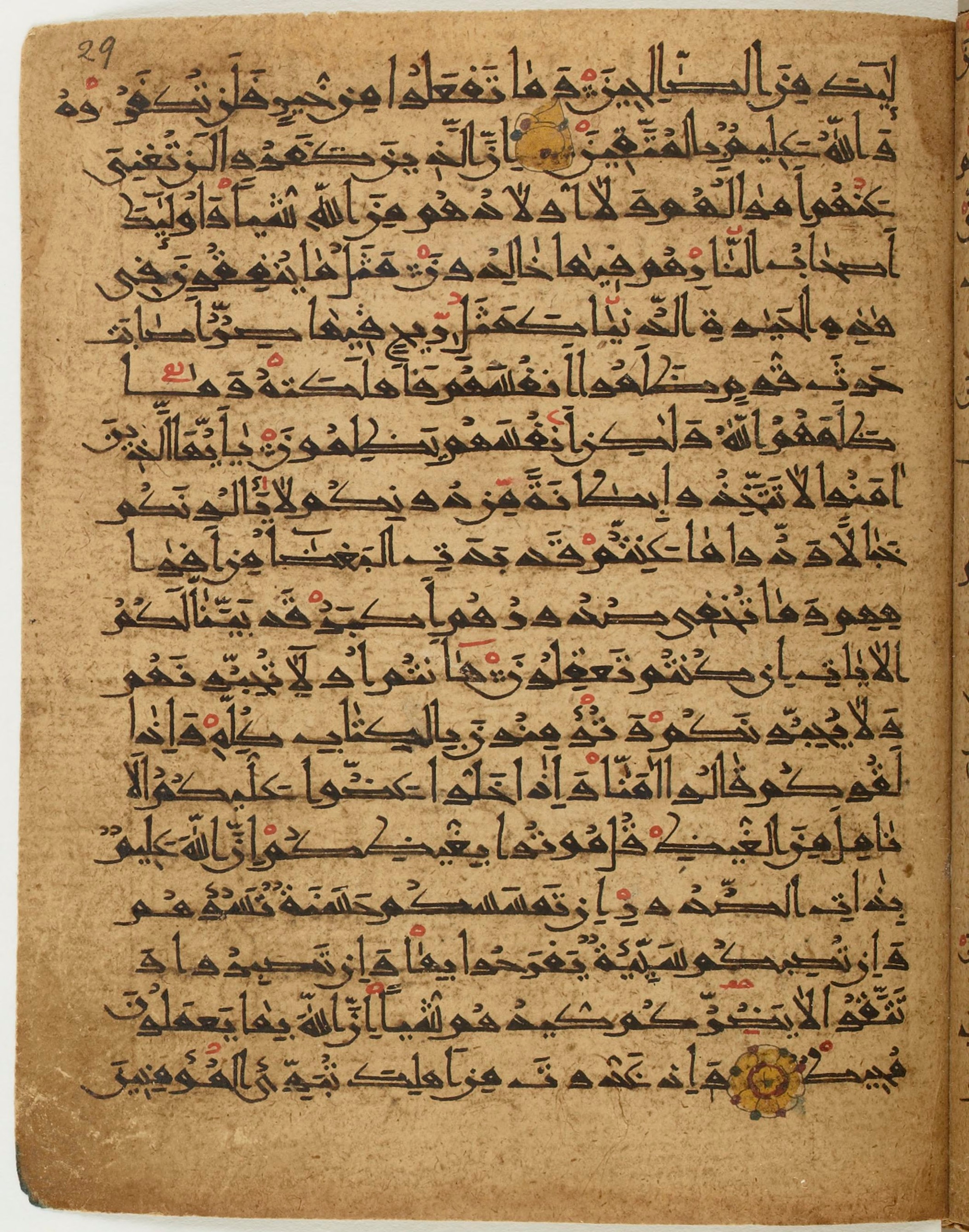 BNF Arabe 6430, in Naskh (NS 1) script, showing Surah 3:116 from 10th Century AD found in Unknown, currently housed at Bibliothèque nationale de France, Paris