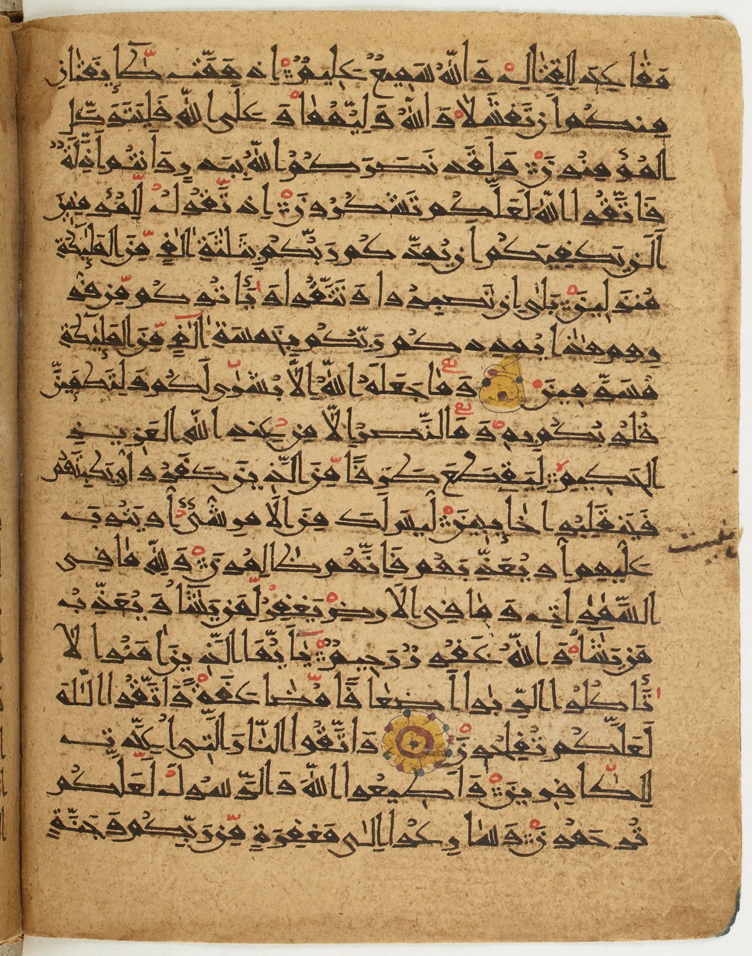 BNF Arabe 6430, in Naskh (NS 1) script, showing Surah 3:129 from 10th Century AD found in Unknown, currently housed at Bibliothèque nationale de France, Paris