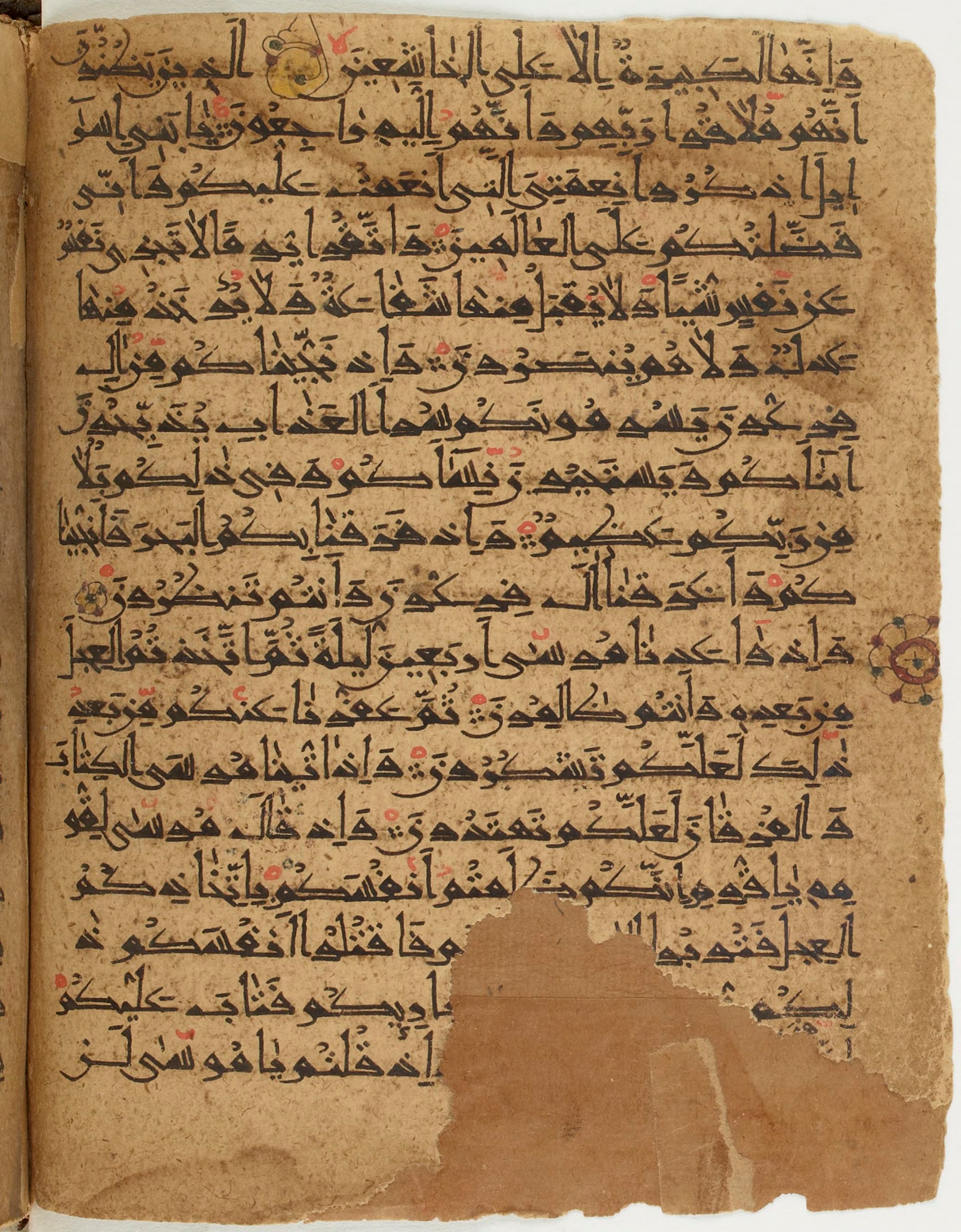 BNF Arabe 6430, in Naskh (NS 1) script, showing Surah 2:49 from 10th Century AD found in Unknown, currently housed at Bibliothèque nationale de France, Paris