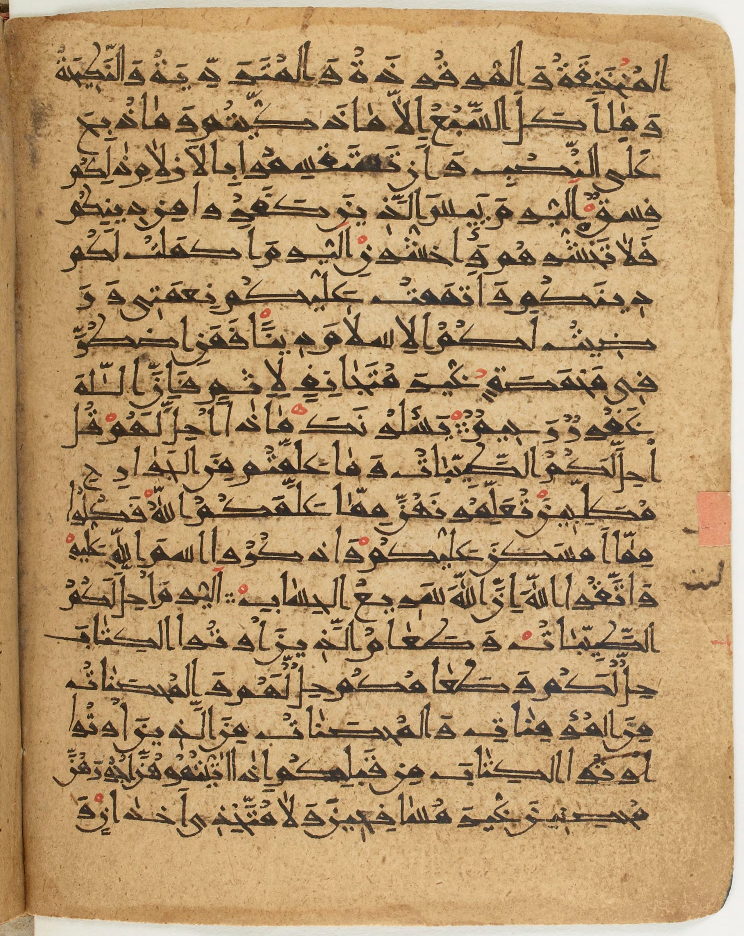 BNF Arabe 6430, in Naskh (NS 1) script, showing Surah 5:4 from 10th Century AD found in Unknown, currently housed at Bibliothèque nationale de France, Paris