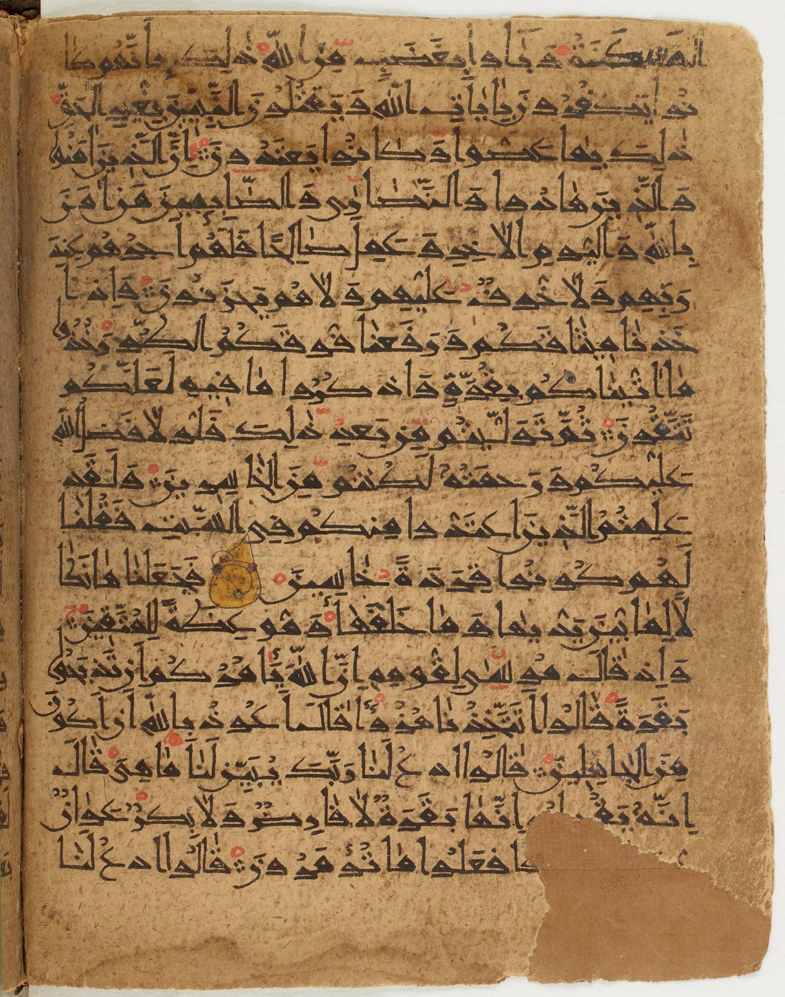 BNF Arabe 6430 (Scan 1), in Naskh (NS 1) script, showing Surah 2:69 from 10th Century AD found in Unknown, currently housed at Bibliothèque nationale de France, Paris