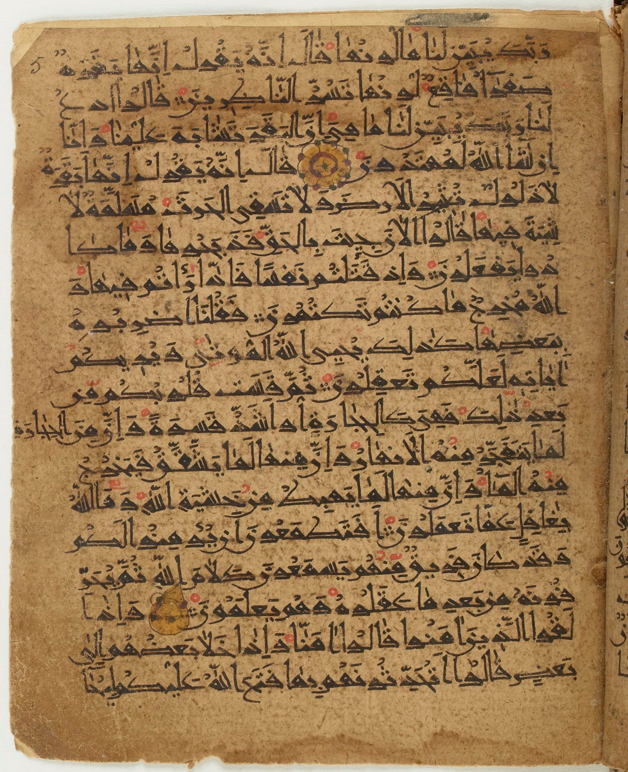 BNF Arabe 6430, in Naskh (NS 1) script, showing Surah 2:71 from 10th Century AD found in Unknown, currently housed at Bibliothèque nationale de France, Paris