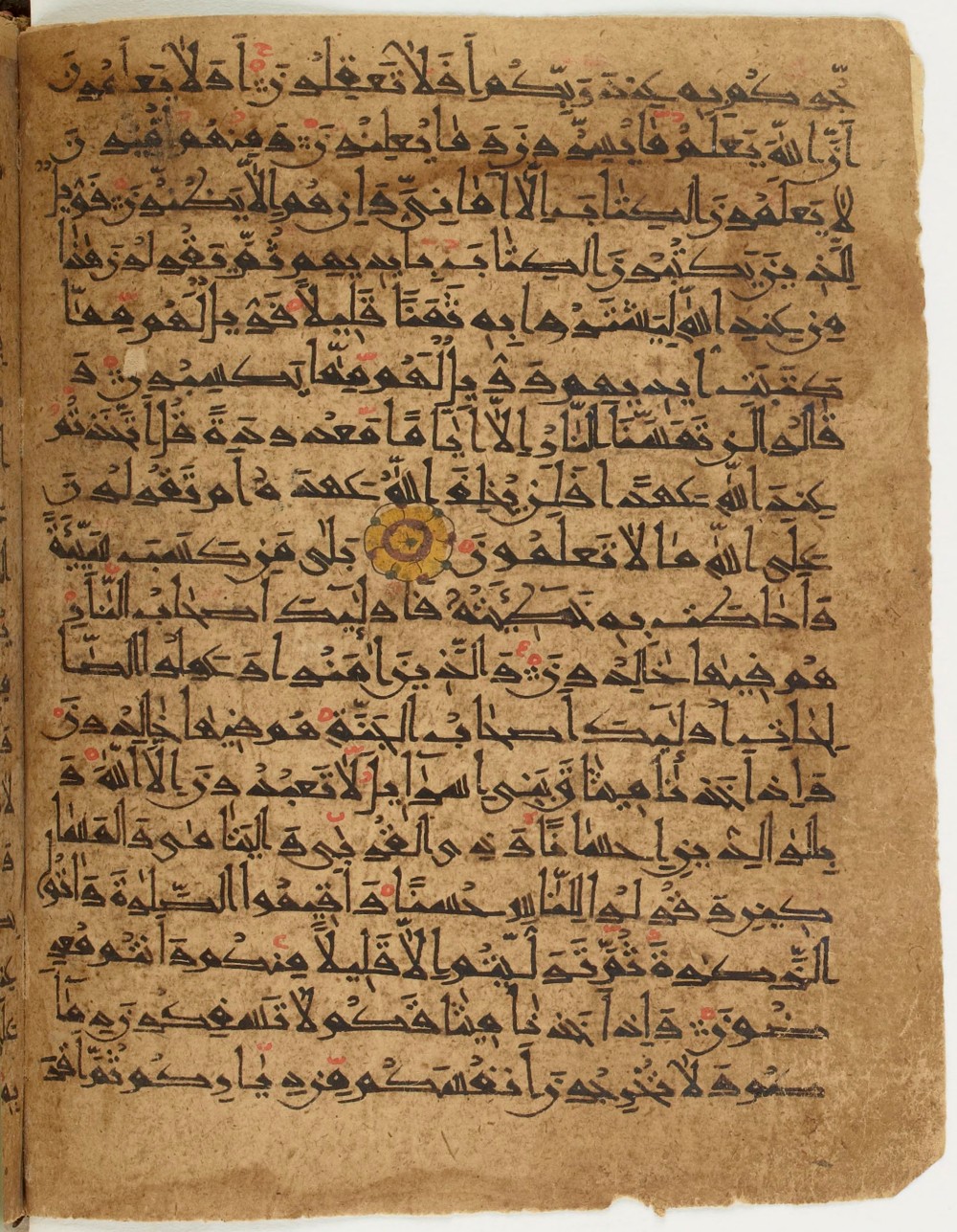 BNF Arabe 6430, in Naskh (NS 1) script, showing Surah 2:83 from 10th Century AD found in Unknown, currently housed at Bibliothèque nationale de France, Paris