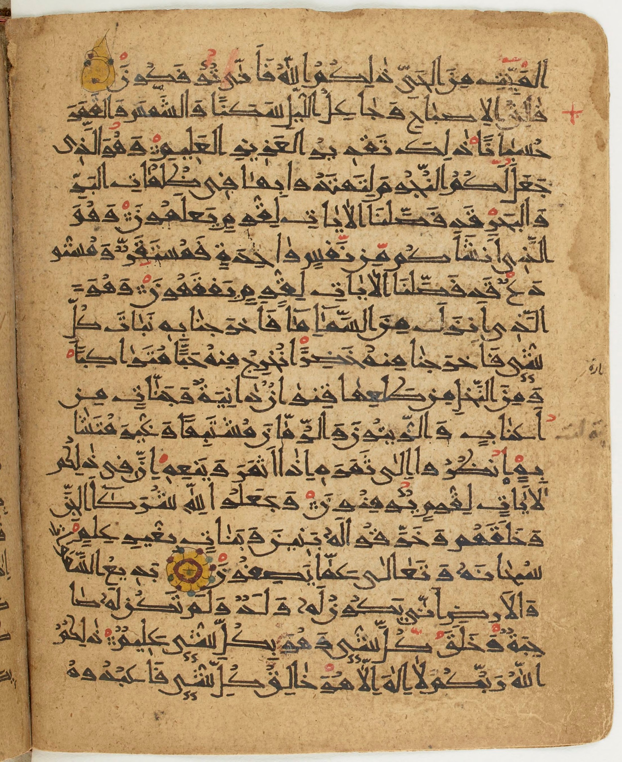 BNF Arabe 6430 (Scan 2), in Naskh (NS 1) script, showing Surah 6:95 from 10th Century AD found in Unknown, currently housed at Bibliothèque nationale de France, Paris