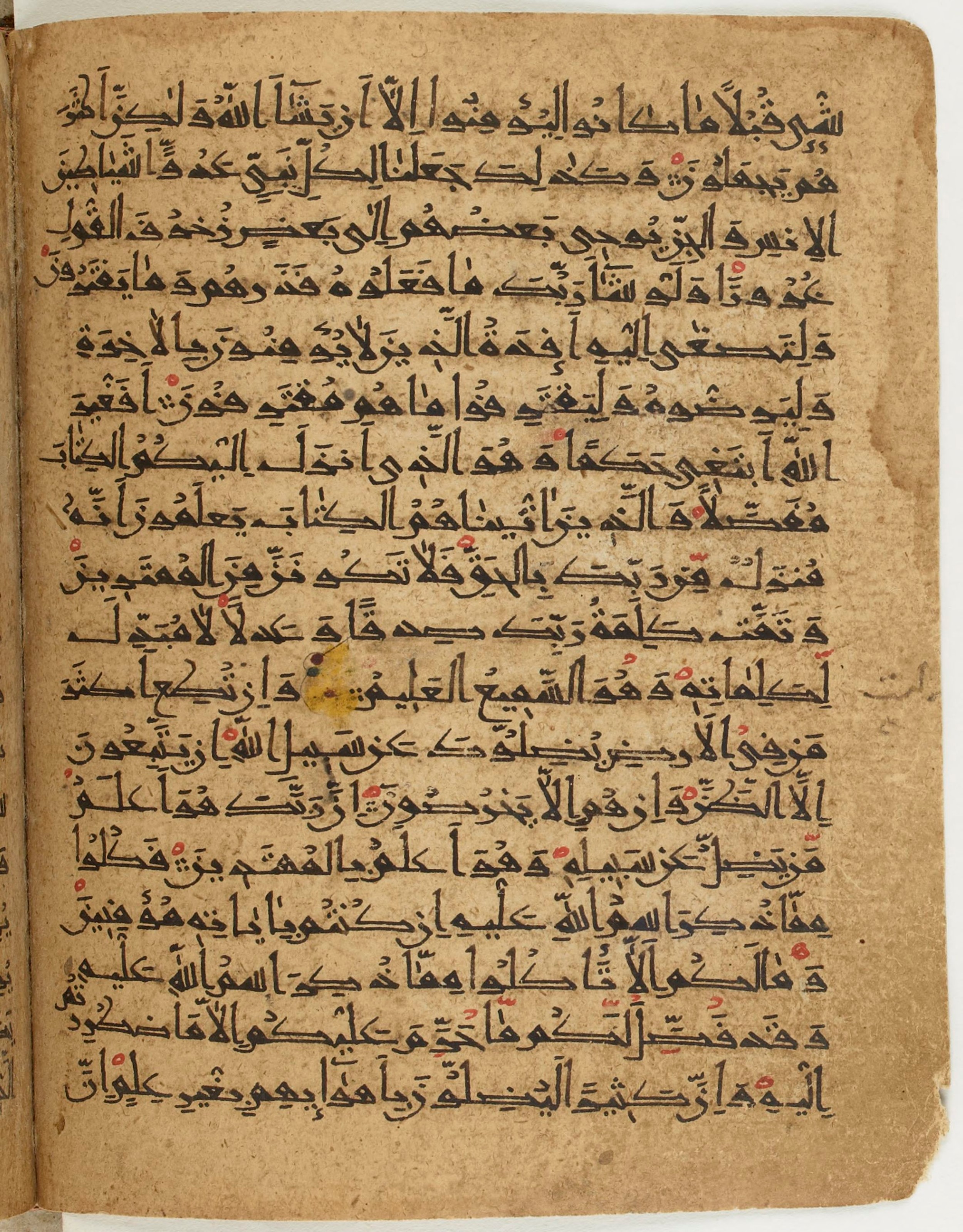 BNF Arabe 6430, in Naskh (NS 1) script, showing Surah 6:116 from 10th Century AD found in Unknown, currently housed at Bibliothèque nationale de France, Paris