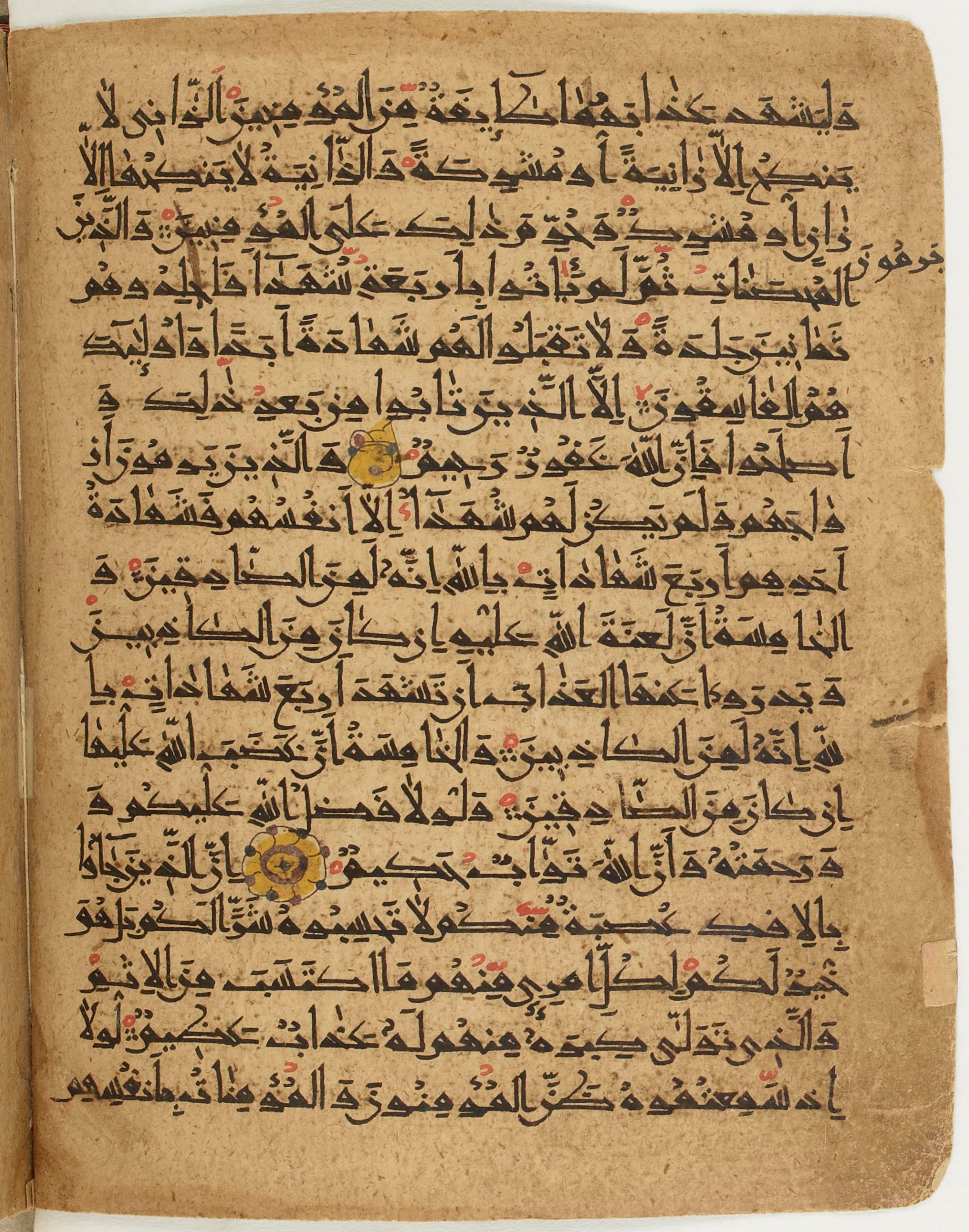 BNF Arabe 6430 (Scan 2), in Naskh (NS 1) script, showing Surah 24:2 from 10th Century AD found in Unknown, currently housed at Bibliothèque nationale de France, Paris