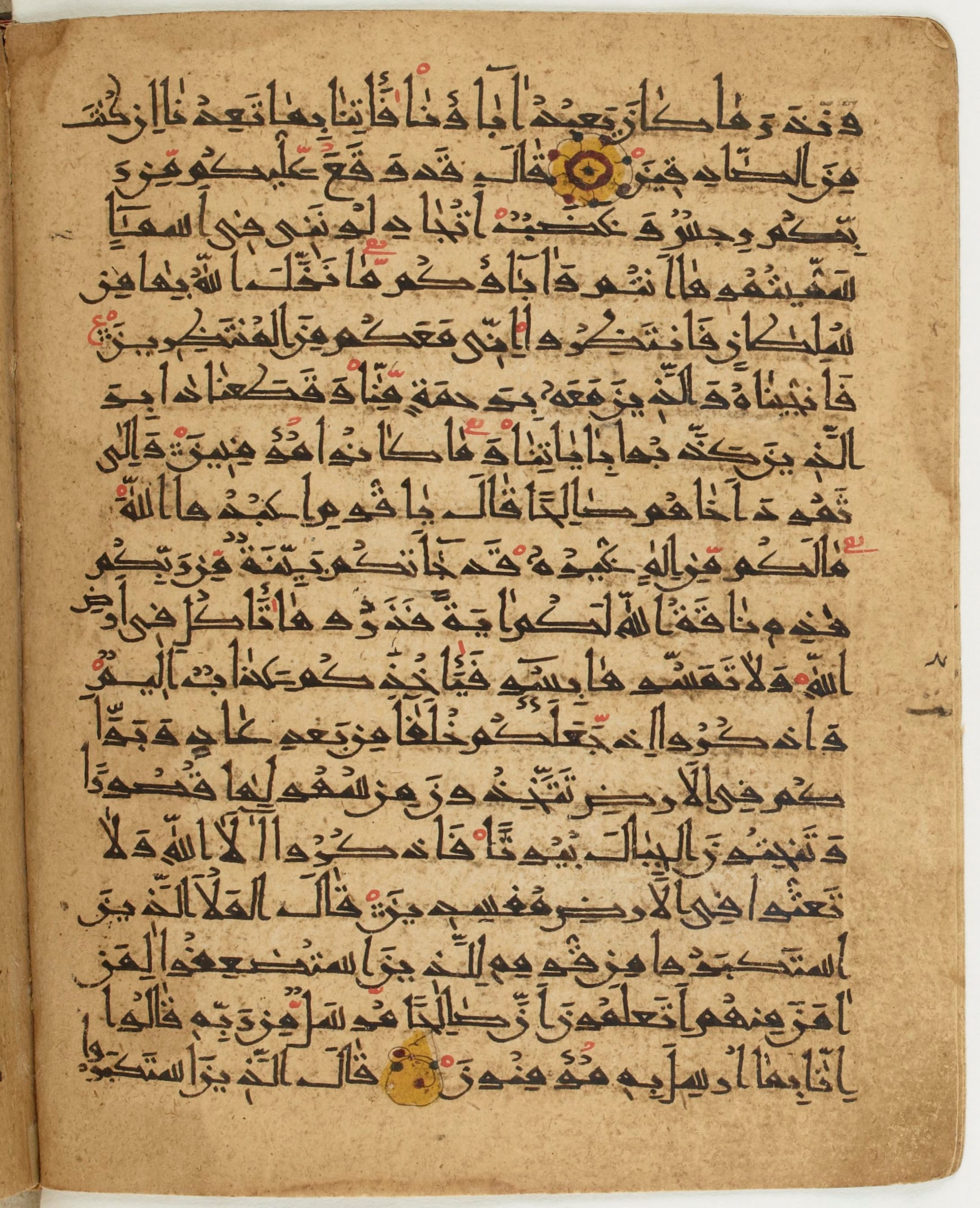 BNF Arabe 6430, in Naskh (NS 1) script, showing Surah 7:73 from 10th Century AD found in Unknown, currently housed at Bibliothèque nationale de France, Paris