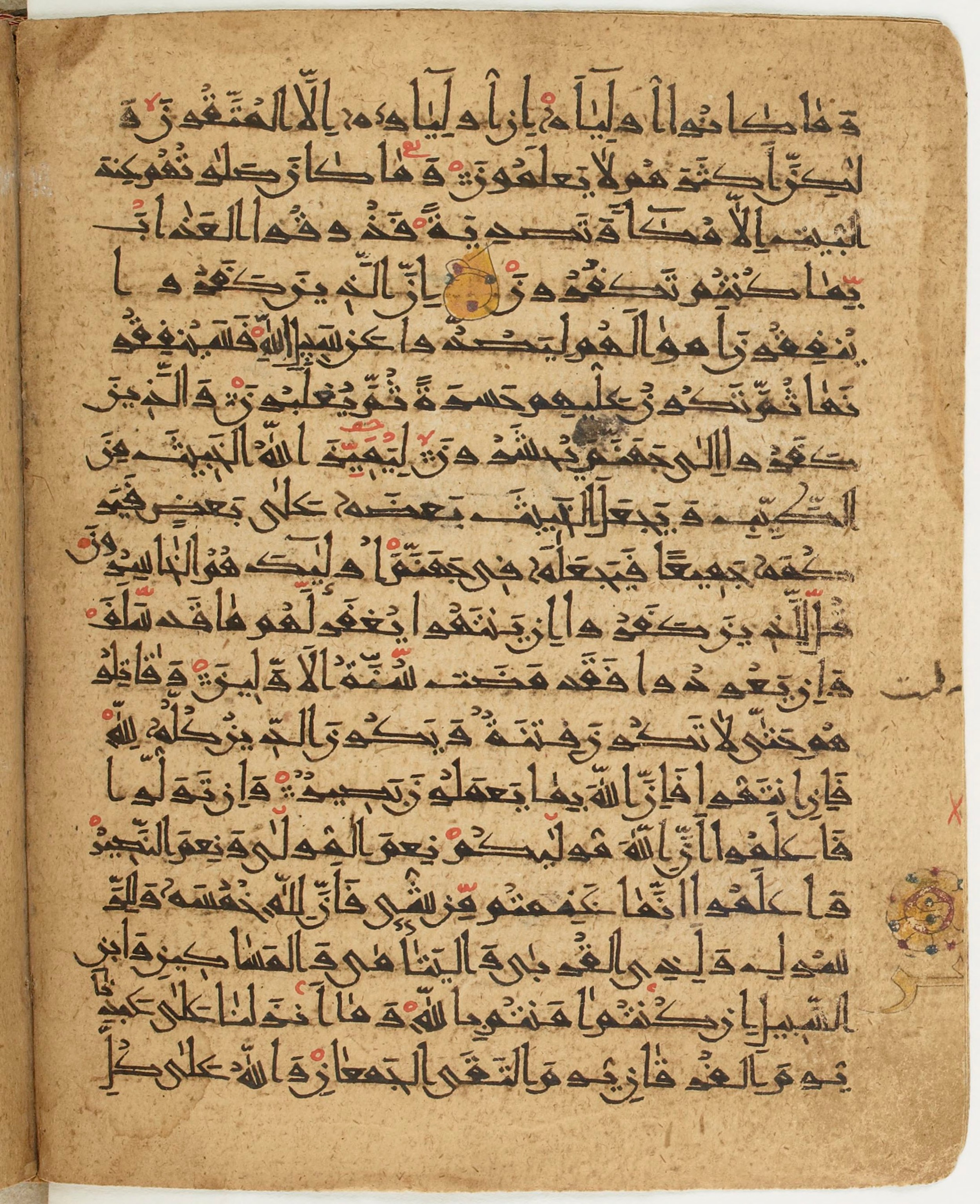 BNF Arabe 6430, in Naskh (NS 1) script, showing Surah 8:39 from 10th Century AD found in Unknown, currently housed at Bibliothèque nationale de France, Paris