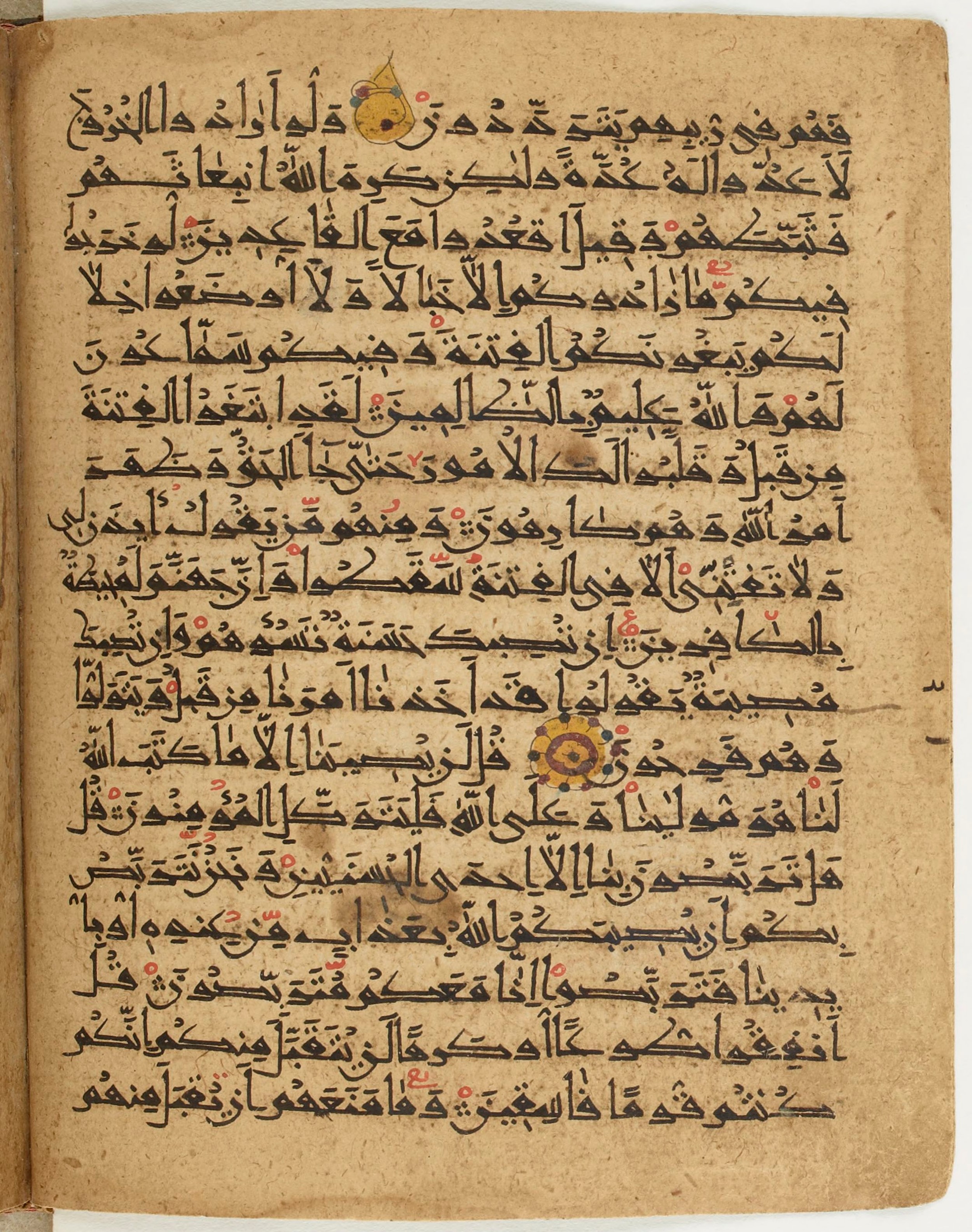 BNF Arabe 6430, in Naskh (NS 1) script, showing Surah 9:49 from 10th Century AD found in Unknown, currently housed at Bibliothèque nationale de France, Paris