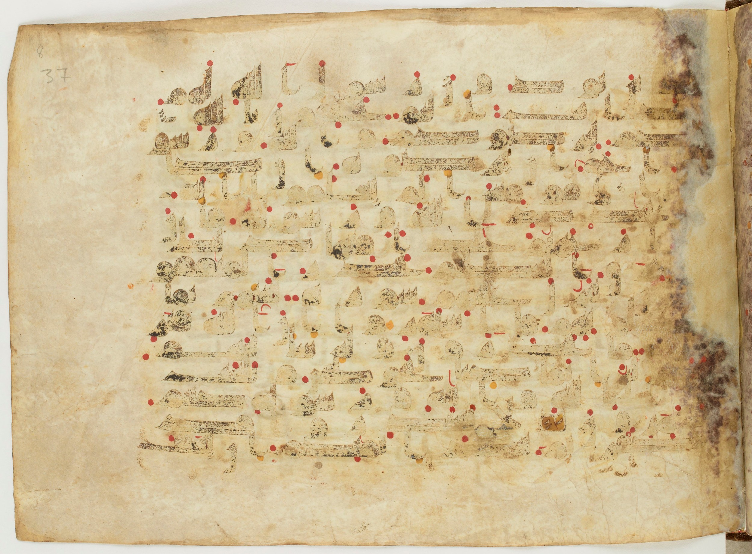 Paris, Bibliothèque nationale de France, Arabe 6982, in Kufic B.II script, showing Surah 9:65 from Mid 8th to Late 9th Century AD found in Unknown (formerly in the Lyautey collection), currently housed at Bibliothèque nationale de France, Paris