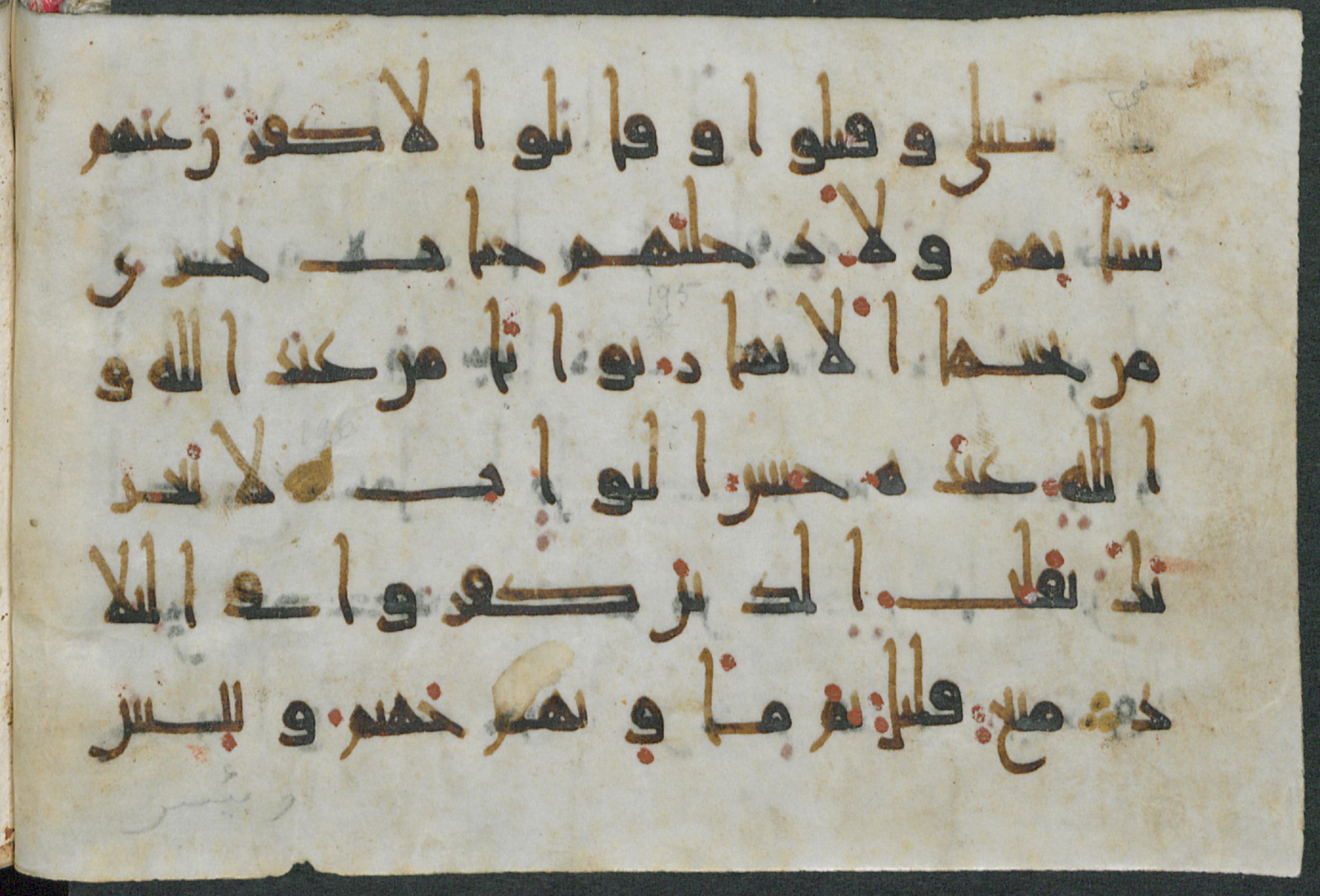 Gotha, Forschungsbibliothek Gotha, Ms. orient. A 434 (Scan 2), in New Style script, showing Surah 3:195 from Mid-9th to Late 10th Century AD found in Unknown, currently housed at Forschungsbibliothek Gotha, Gotha, Germany