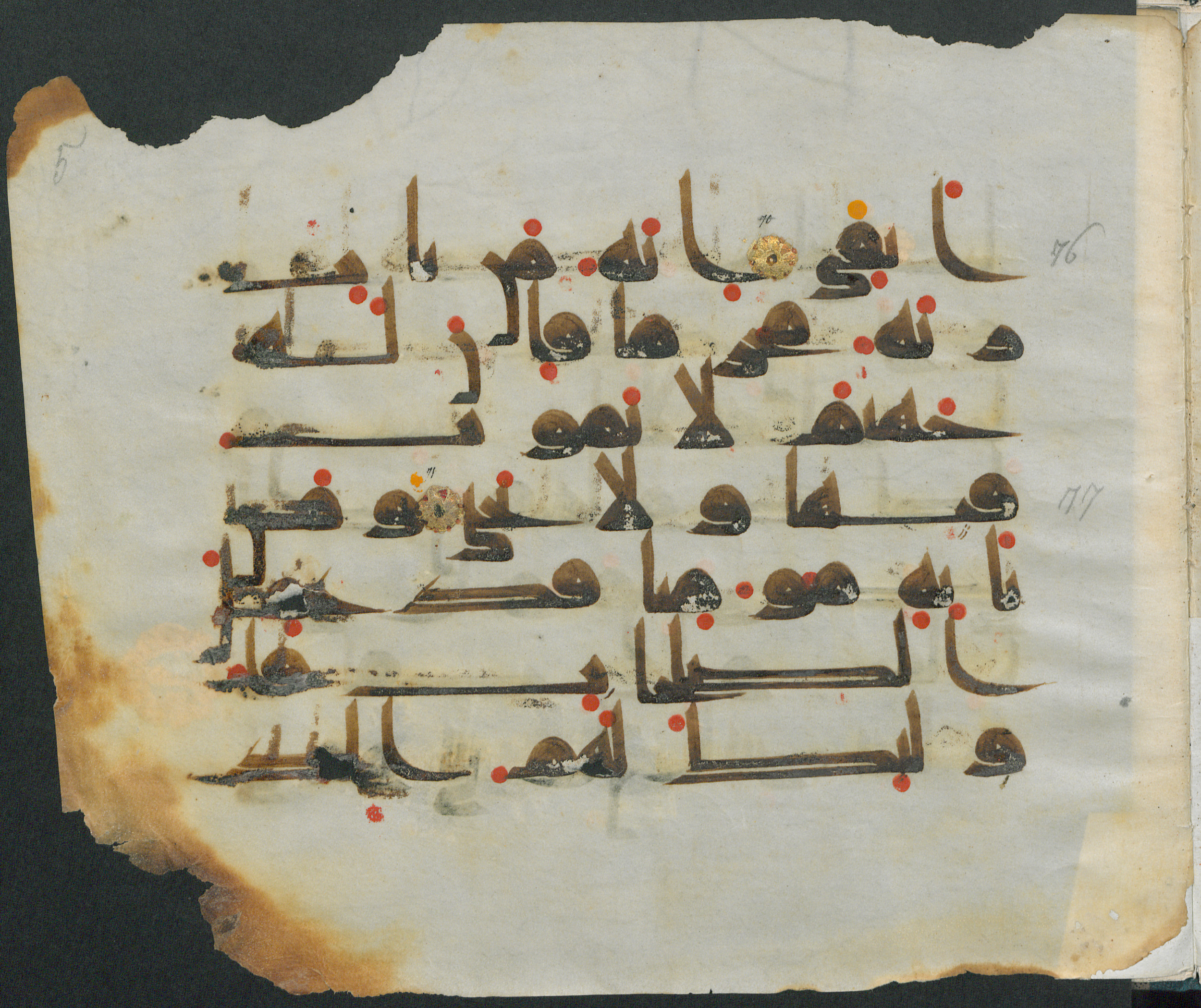 Forschungsbibliothek Gotha, Ms. orient. A 451 (Scan 2), in kūfī D.III script, showing Surah 20:73 from Mid-8th to Late 9th Century AD found in Unknown, currently housed at Forschungsbibliothek Gotha, Gotha, Germany