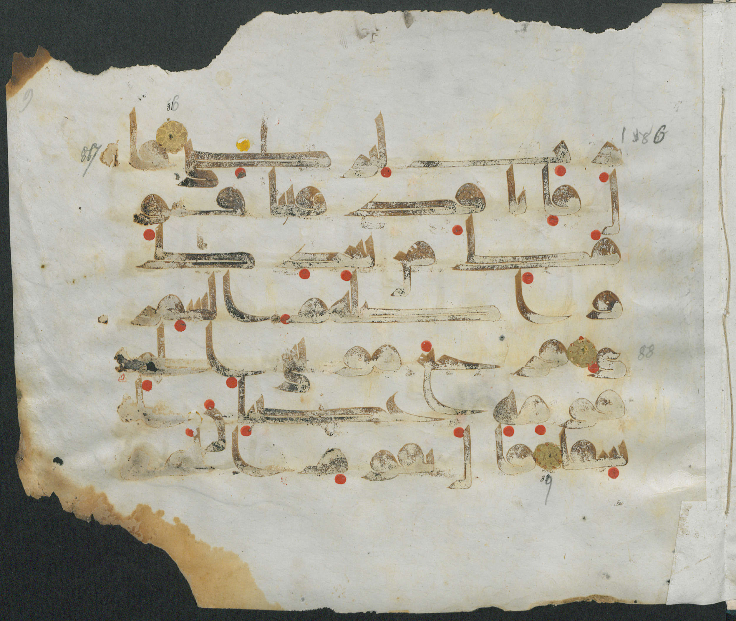 Forschungsbibliothek Gotha, Ms. orient. A 451, in kūfī D.III script, showing Surah 20:85 from Mid-8th to Late 9th Century AD found in Unknown, currently housed at Forschungsbibliothek Gotha, Gotha, Germany