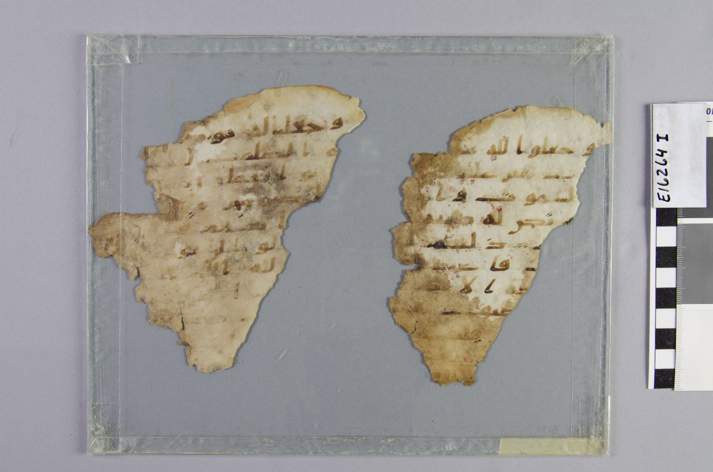 Chicago, Institute for the Study of Ancient Cultures, A 6992 (Scan 2), in Ḥiǧāzī IV script, showing Surah 6:103 from 8th Century AD found in Egypt, currently housed at Institute for the Study of Ancient Cultures, Chicago