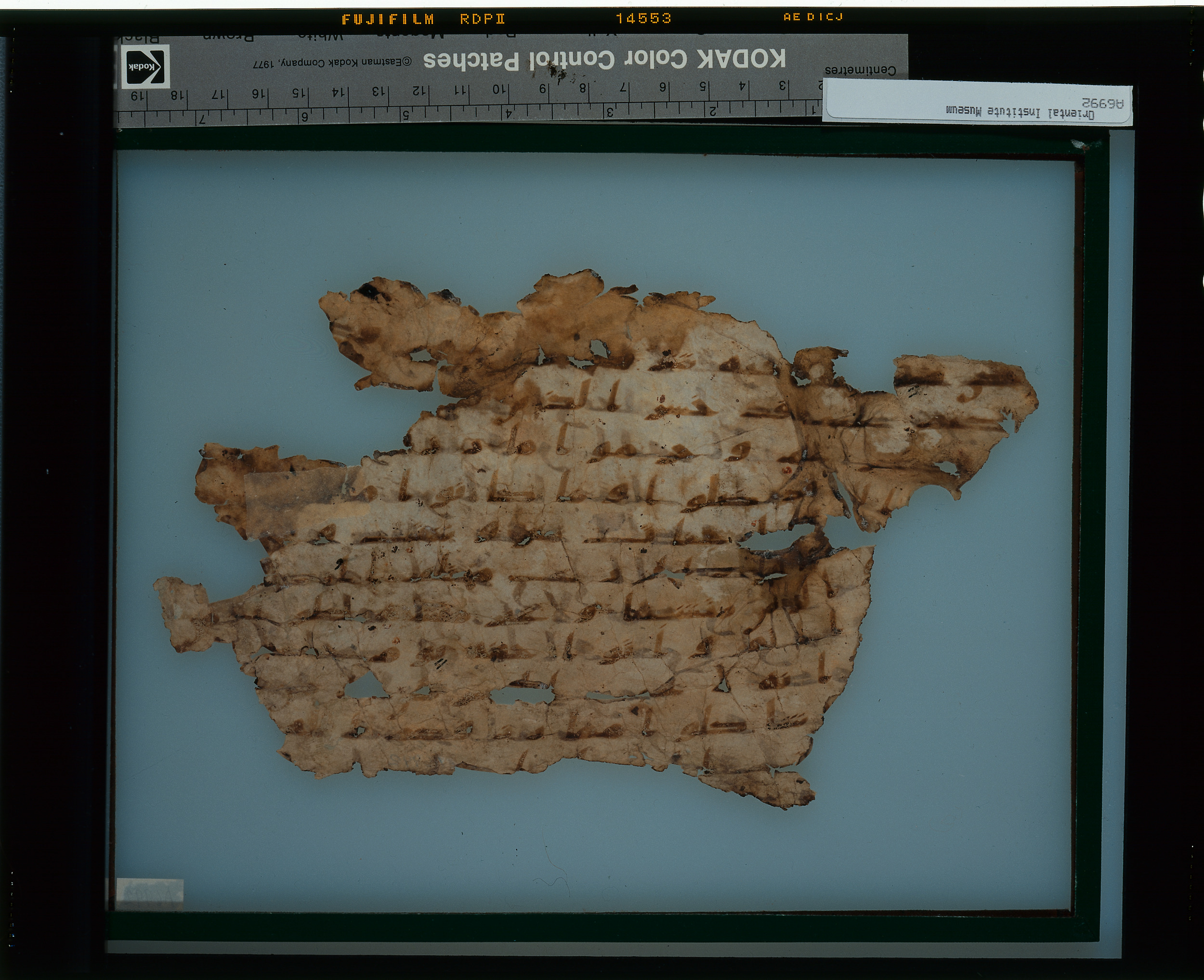 Chicago, Institute for the Study of Ancient Cultures, A 6992, in Ḥiǧāzī IV script, showing Surah 6:140 from 8th Century AD found in Egypt, currently housed at Institute for the Study of Ancient Cultures, Chicago