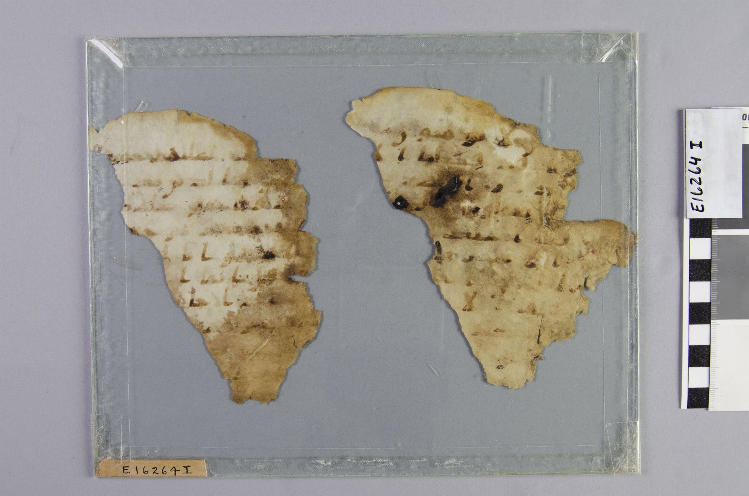 Chicago, Institute for the Study of Ancient Cultures, A 6992 (Scan 2), in Ḥiǧāzī IV script, showing Surah 6:110 from 8th Century AD found in Egypt, currently housed at Institute for the Study of Ancient Cultures, Chicago