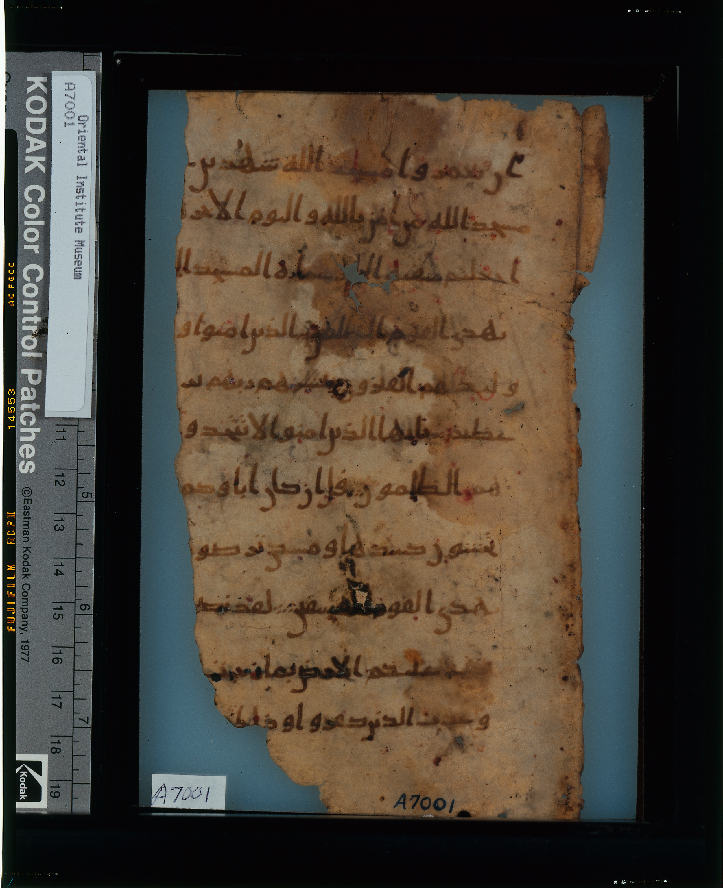 Chicago, Institute for the Study of Ancient Cultures, A 7001, in Makkan script, showing Surah 9:21 from 8th Century AD found in Egypt, currently housed at Institute for the Study of Ancient Cultures, Chicago