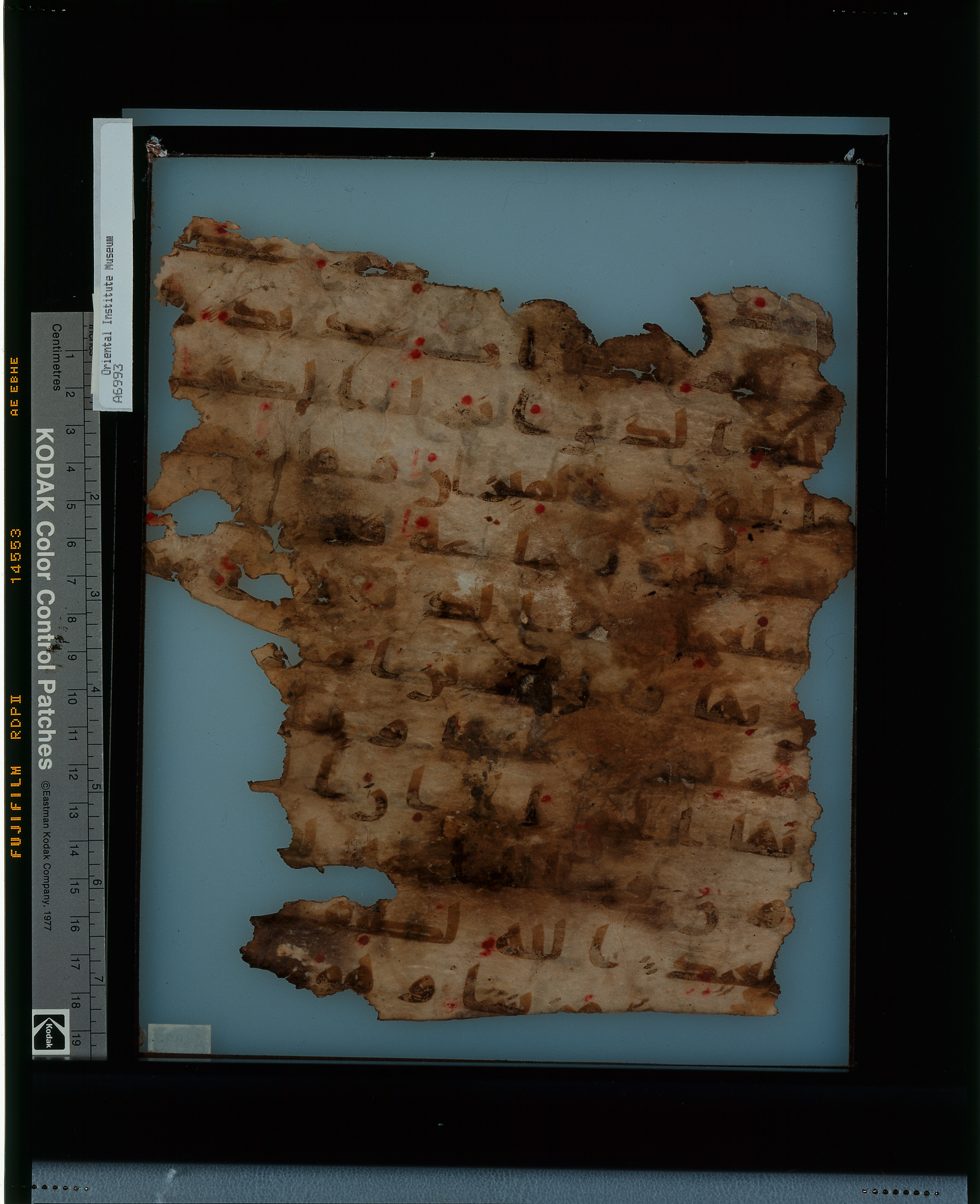 Chicago, Institute for the Study of Ancient Cultures, A 6993 & A 6961, in kūfī A.I script, showing Surah 42:16 from 8th Century AD found in Egypt, currently housed at Institute for the Study of Ancient Cultures, Chicago