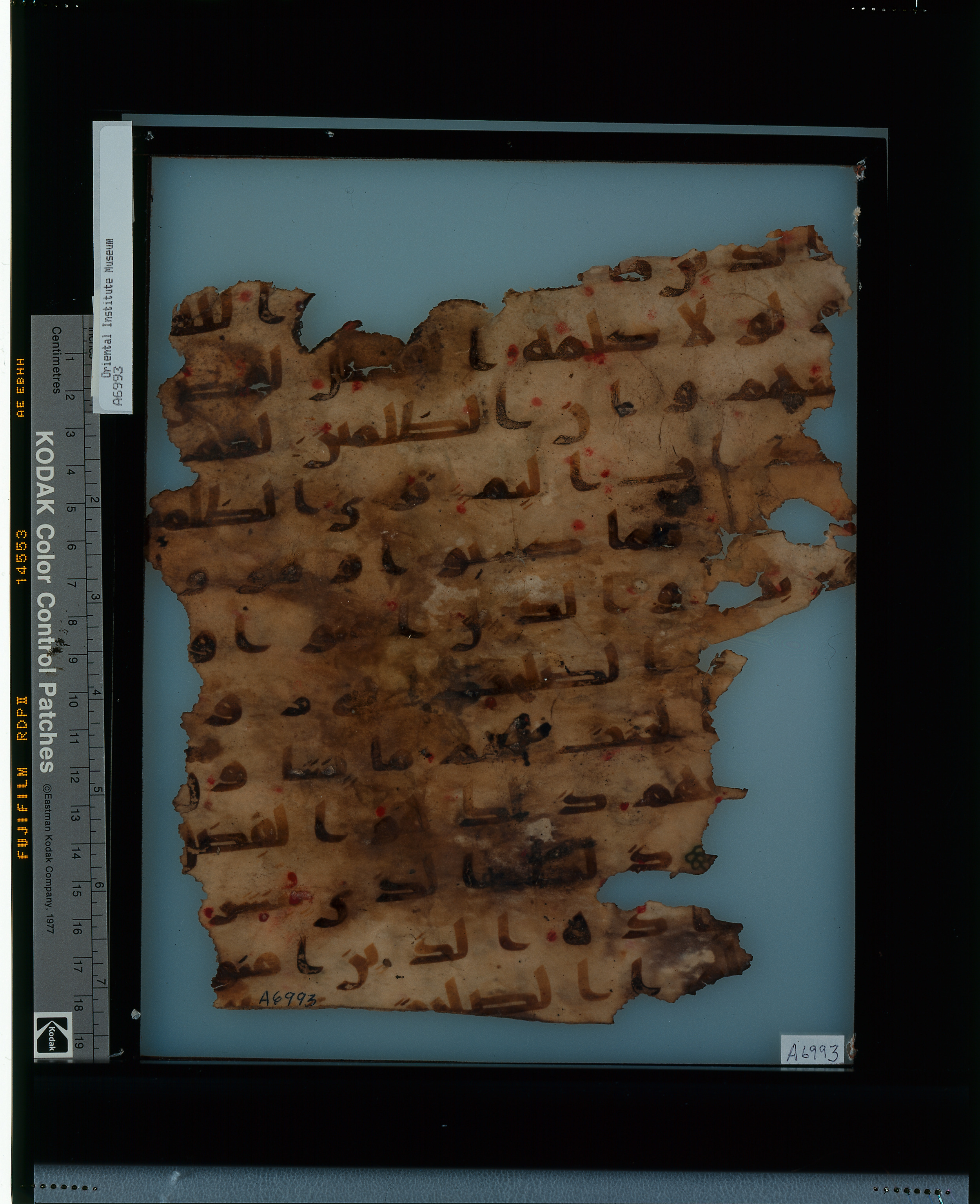 Chicago, Institute for the Study of Ancient Cultures, A 6993 & A 6961, in kūfī A.I script, showing Surah 42:23 from 8th Century AD found in Egypt, currently housed at Institute for the Study of Ancient Cultures, Chicago