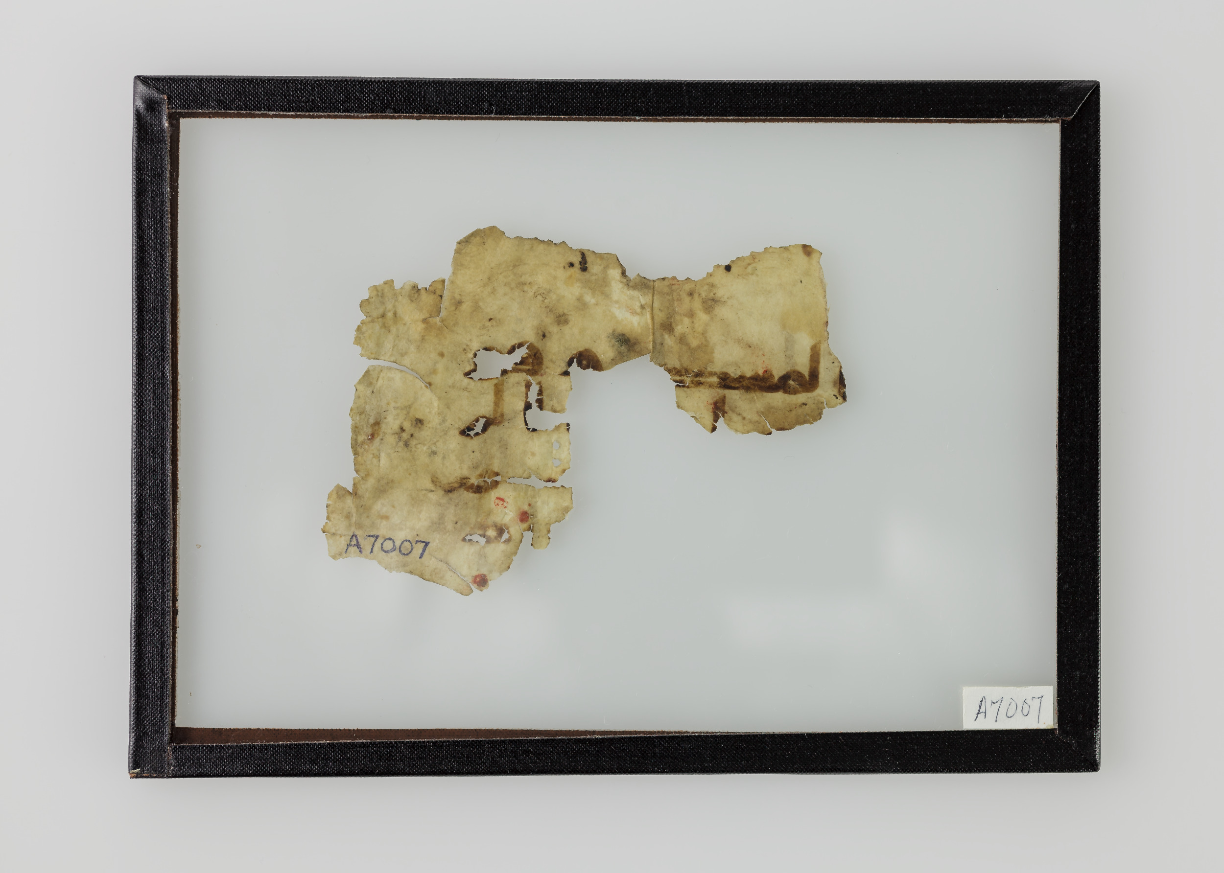 Chicago, Institute for the Study of Ancient Cultures, A 7007 showing Surah 2:61 from Mid 8th to Late 9th Century AD found in al-Fusṭāṭ (Old Cairo), Egypt, currently housed at Institute for the Study of Ancient Cultures, Chicago