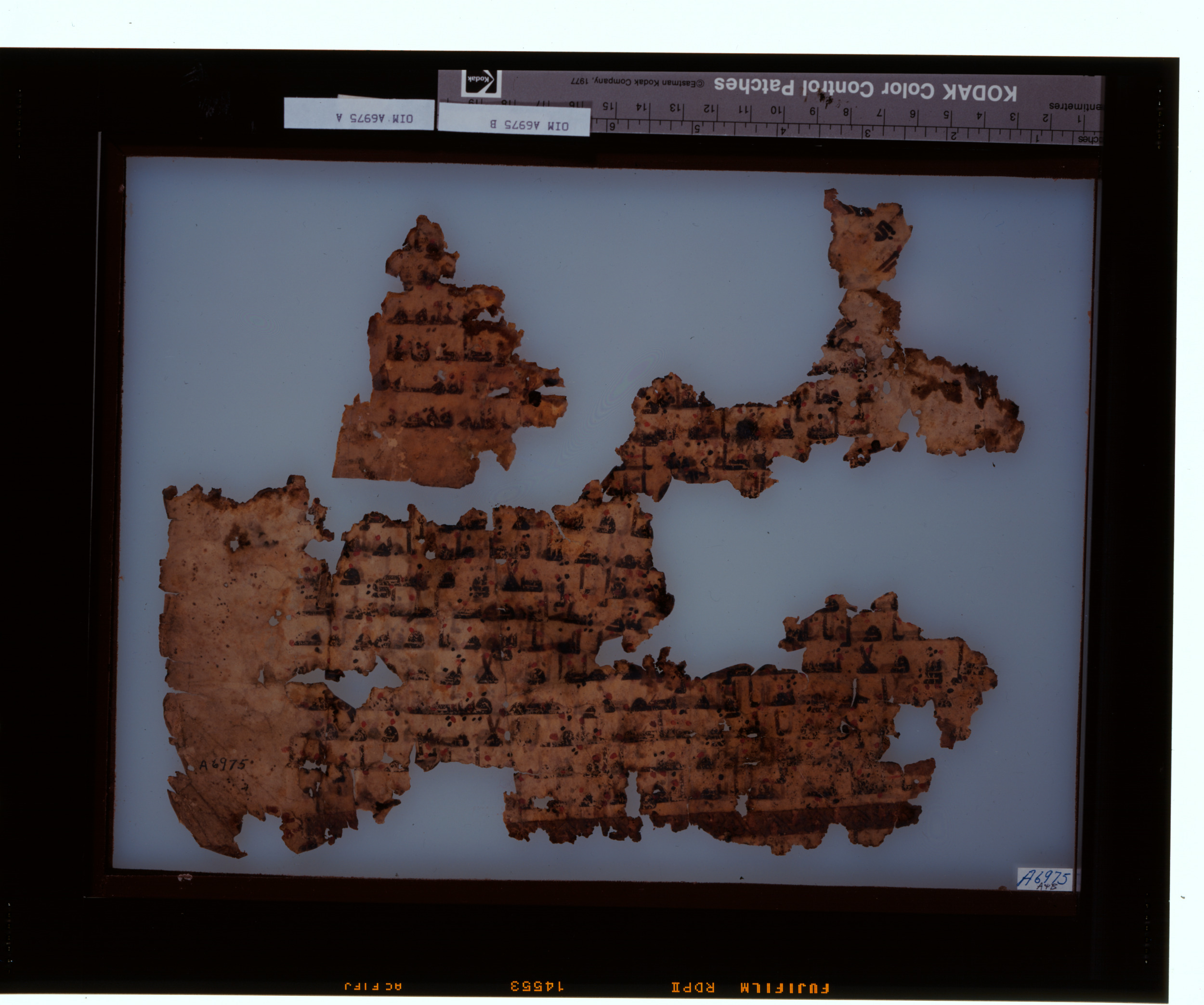 Chicago, Institute for the Study of Ancient Cultures, A 6975b, in kūfī B.II script, showing Surah 89:13 from Mid 8th to Late 9th Century AD found in Egypt, currently housed at Institute for the Study of Ancient Cultures, Chicago