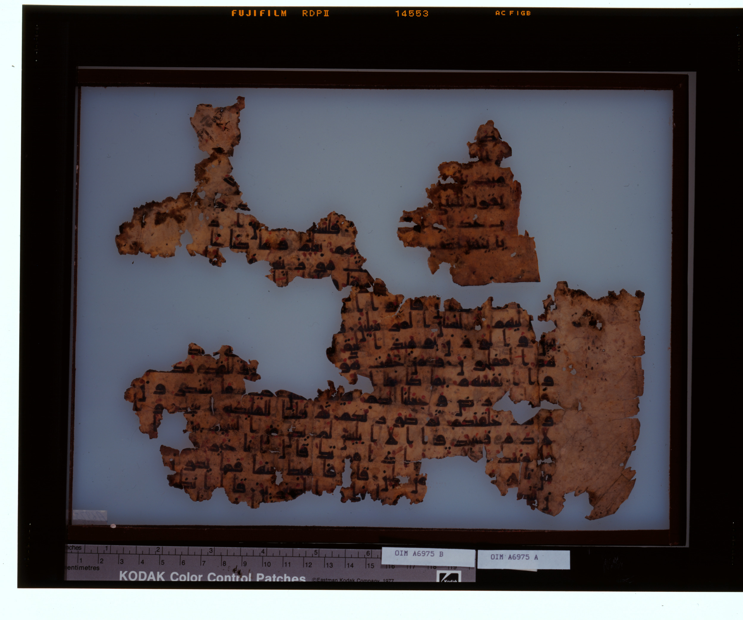 Chicago, Institute for the Study of Ancient Cultures, A 6975b, in kūfī B.II script, showing Surah 89:23 from Mid 8th to Late 9th Century AD found in Egypt, currently housed at Institute for the Study of Ancient Cultures, Chicago
