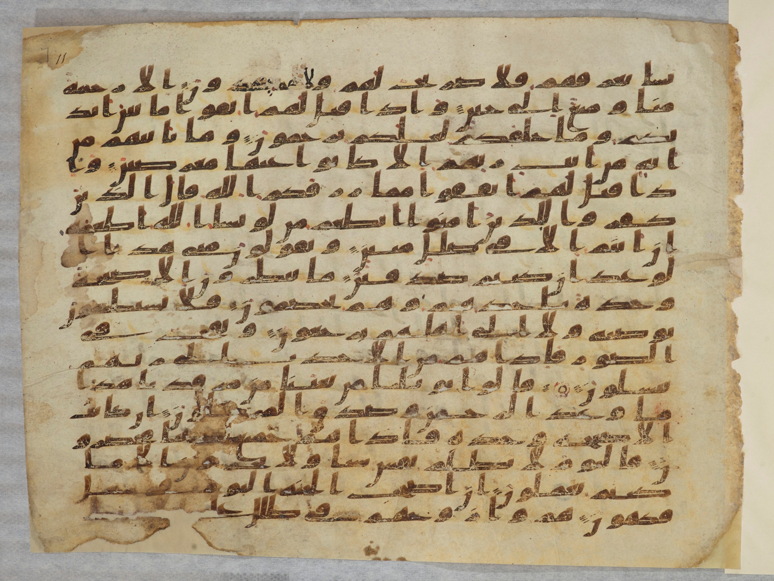 Paris, Bibliothèque nationale de France, Arabe 334 (a) (Scan 2), in Kufic C I b (with Hijazi tendencies) script, showing Surah 36:49 from 8th to 9th Century AD found in Fustat (Old Cairo), Egypt, currently housed at Bibliothèque nationale de France, Paris