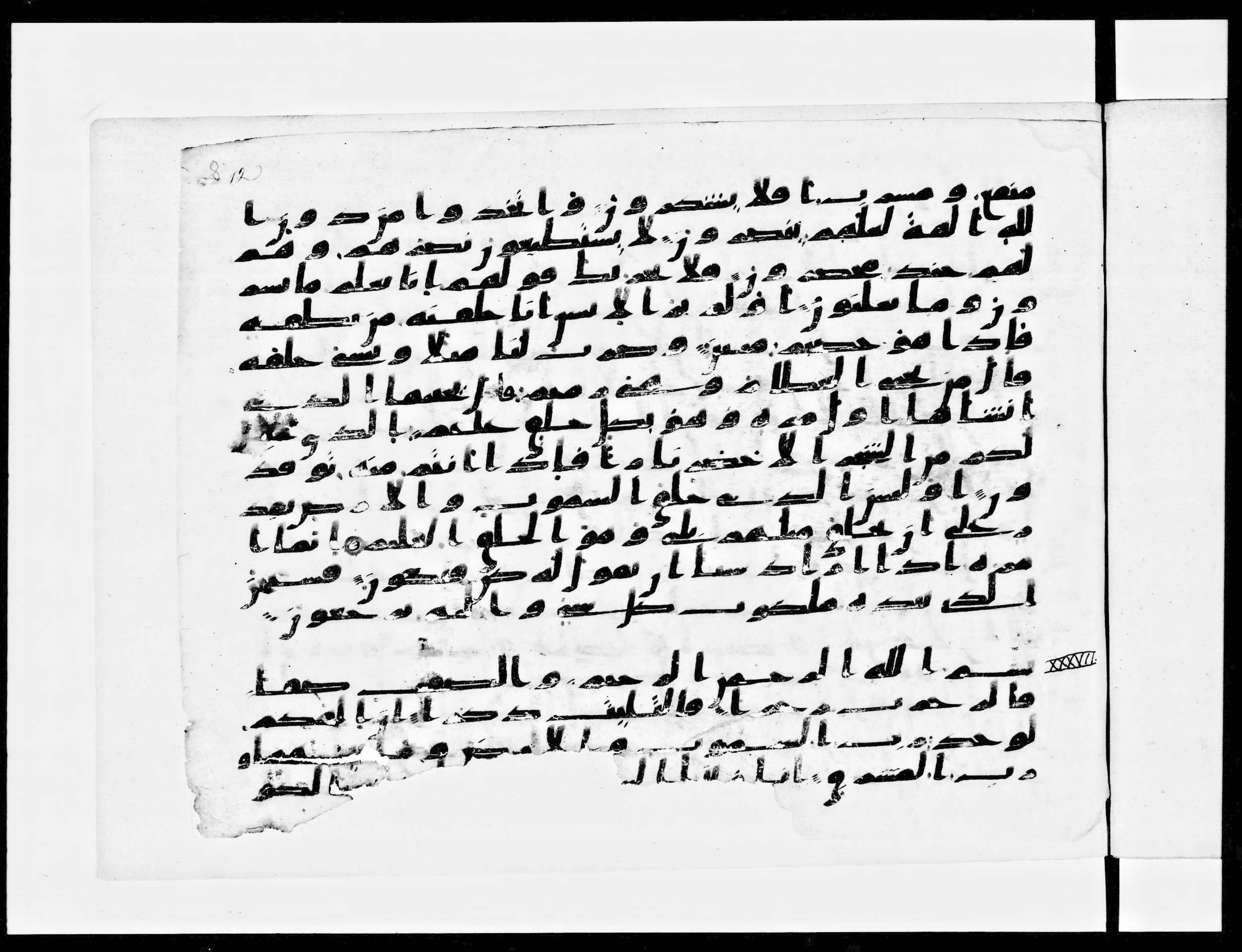 Paris, Bibliothèque nationale de France, Arabe 334 (a) (Scan 1), in Kufic C I b (with Hijazi tendencies) script, showing Surah 37:2 from 8th to 9th Century AD found in Fustat (Old Cairo), Egypt, currently housed at Bibliothèque nationale de France, Paris