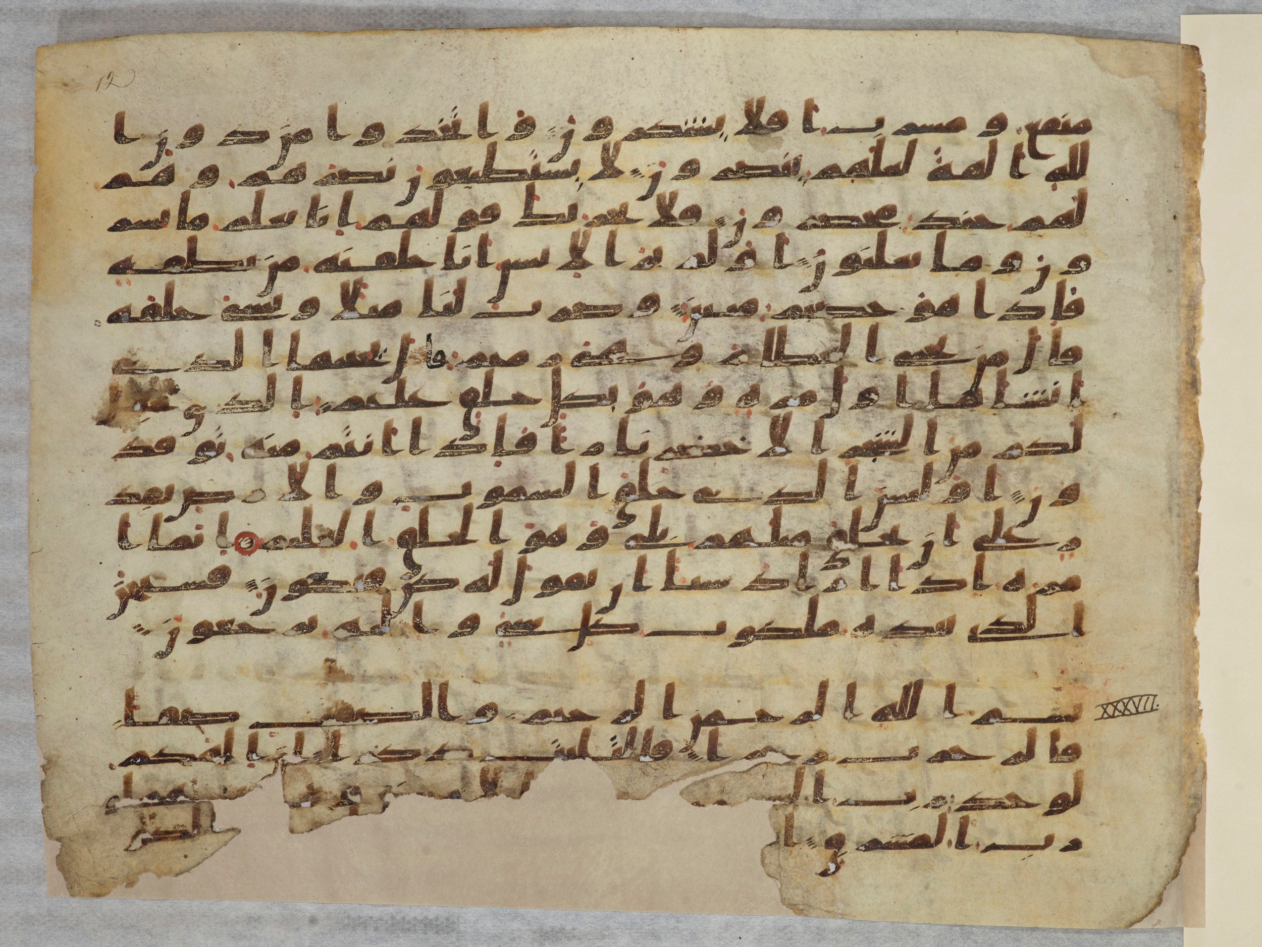 Paris, Bibliothèque nationale de France, Arabe 334 (a) (Scan 2), in Kufic C I b (with Hijazi tendencies) script, showing Surah 37:2 from 8th to 9th Century AD found in Fustat (Old Cairo), Egypt, currently housed at Bibliothèque nationale de France, Paris