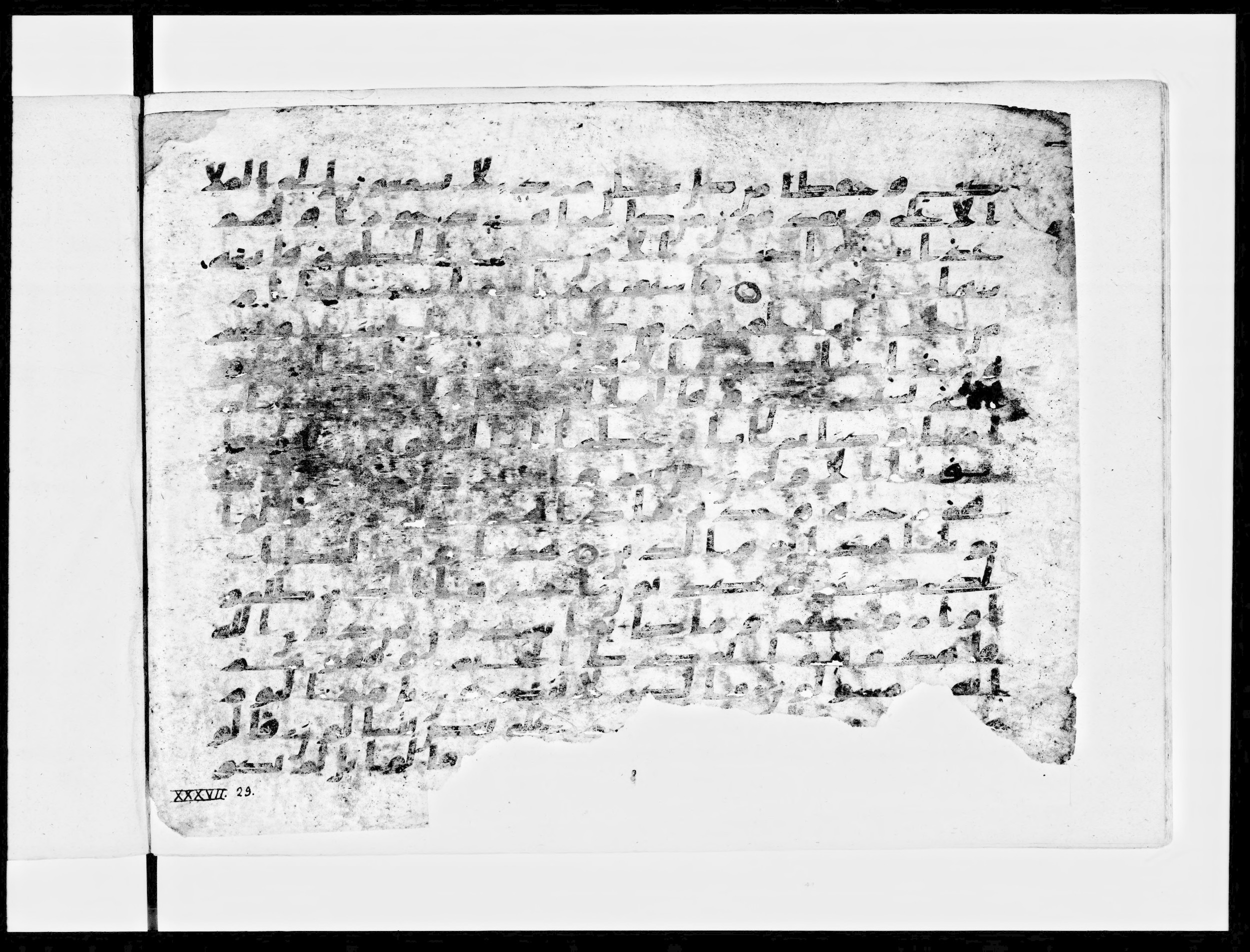 Paris, Bibliothèque nationale de France, Arabe 334 (a) (Scan 1), in Kufic C I b (with Hijazi tendencies) script, showing Surah 37:13 from 8th to 9th Century AD found in Fustat (Old Cairo), Egypt, currently housed at Bibliothèque nationale de France, Paris