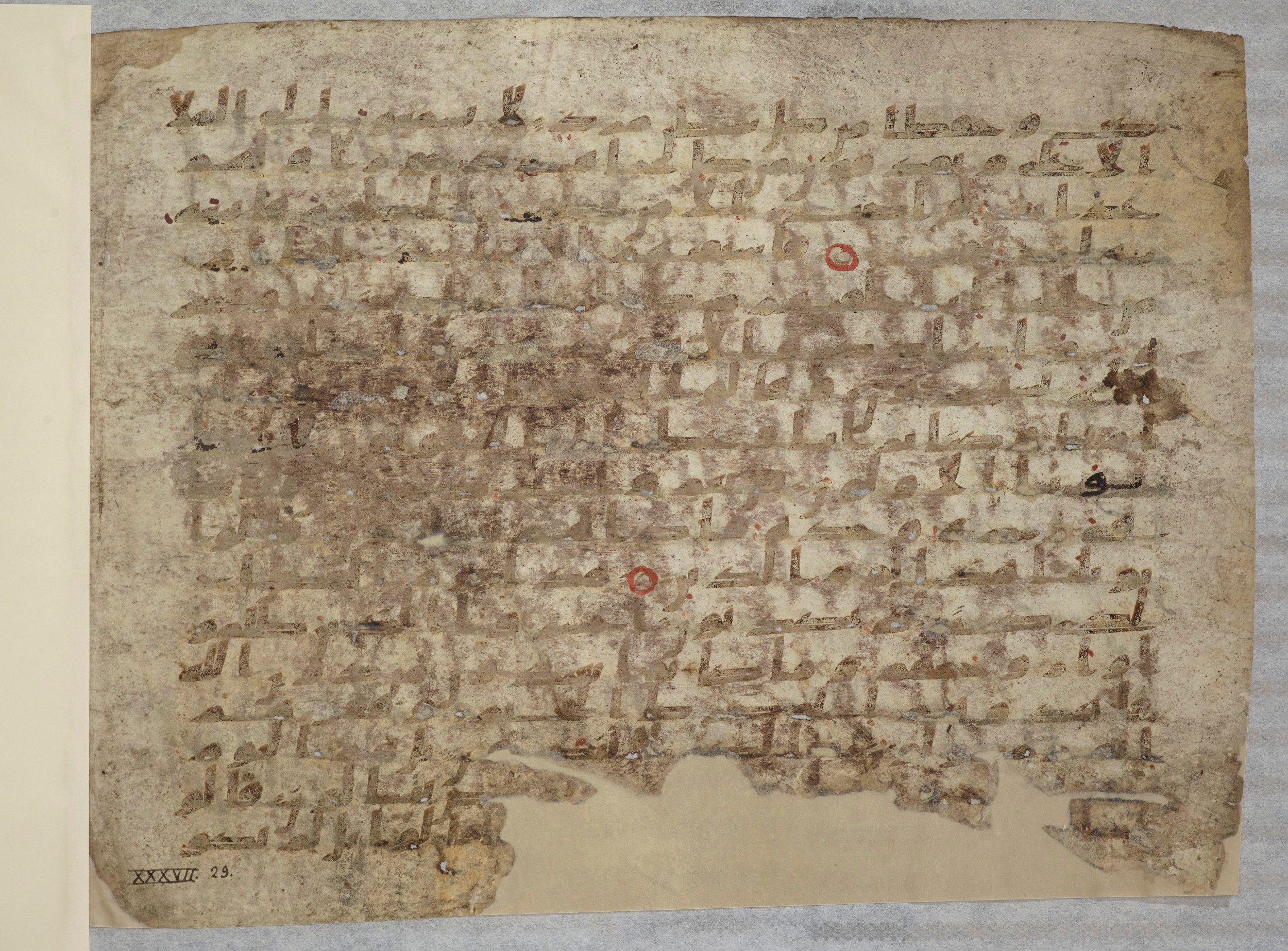 Paris, Bibliothèque nationale de France, Arabe 334 (a) (Scan 2), in Kufic C I b (with Hijazi tendencies) script, showing Surah 37:13 from 8th to 9th Century AD found in Fustat (Old Cairo), Egypt, currently housed at Bibliothèque nationale de France, Paris