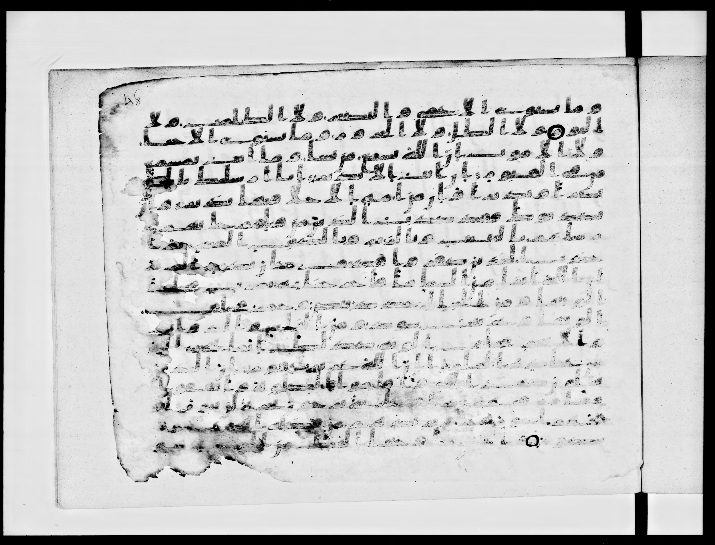 Paris, Bibliothèque nationale de France, Arabe 334 (a) (Scan 1), in Kufic C I b (with Hijazi tendencies) script, showing Surah 35:21 from 8th to 9th Century AD found in Fustat (Old Cairo), Egypt, currently housed at Bibliothèque nationale de France, Paris