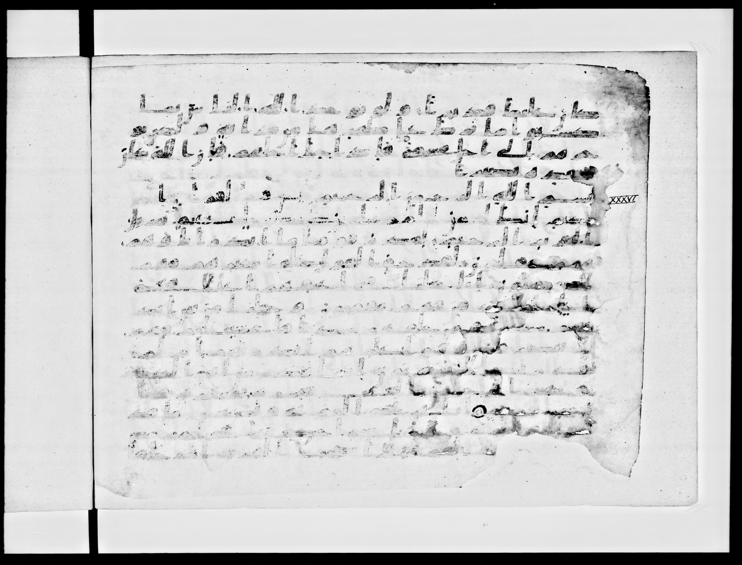 Paris, Bibliothèque nationale de France, Arabe 334 (a) (Scan 3), in Kufic C I b (with Hijazi tendencies) script, showing Surah 36:13 from 8th to 9th Century AD found in Fustat (Old Cairo), Egypt, currently housed at Bibliothèque nationale de France, Paris