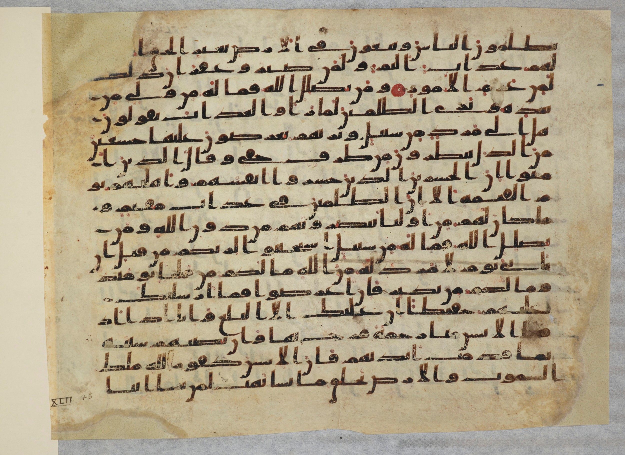 Paris, Bibliothèque nationale de France, Arabe 334 (b) (Scan 2), in Kūfī C.Ib script, showing Surah 42:49 from 8th to 9th Century AD found in al-Fusṭāṭ, Egypt, currently housed at Bibliothèque nationale de France, Paris