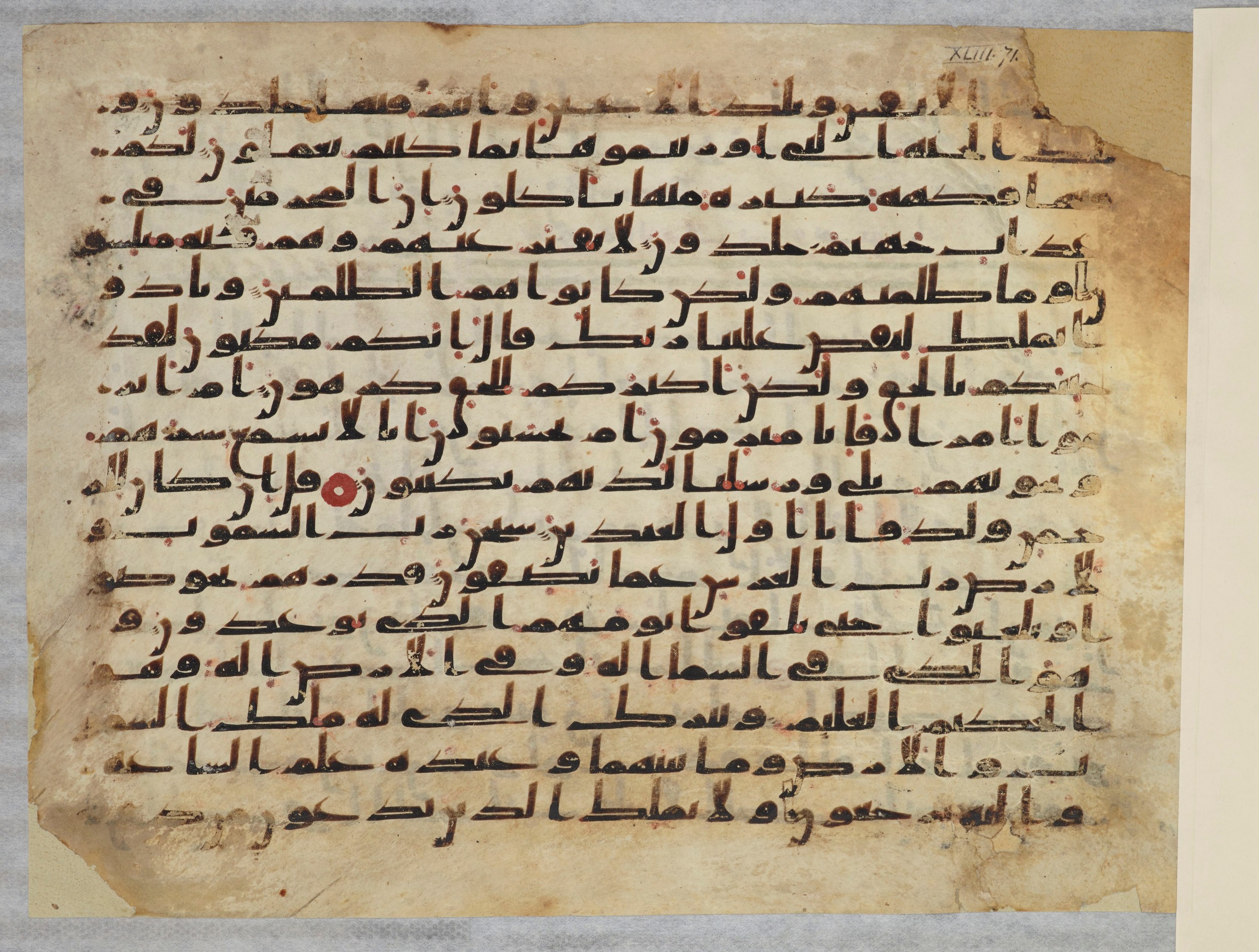 Paris, Bibliothèque nationale de France, Arabe 334 (b) (Scan 4), in Kūfī C.Ib script, showing Surah 43:71 from 8th to 9th Century AD found in al-Fusṭāṭ, Egypt, currently housed at Bibliothèque nationale de France, Paris