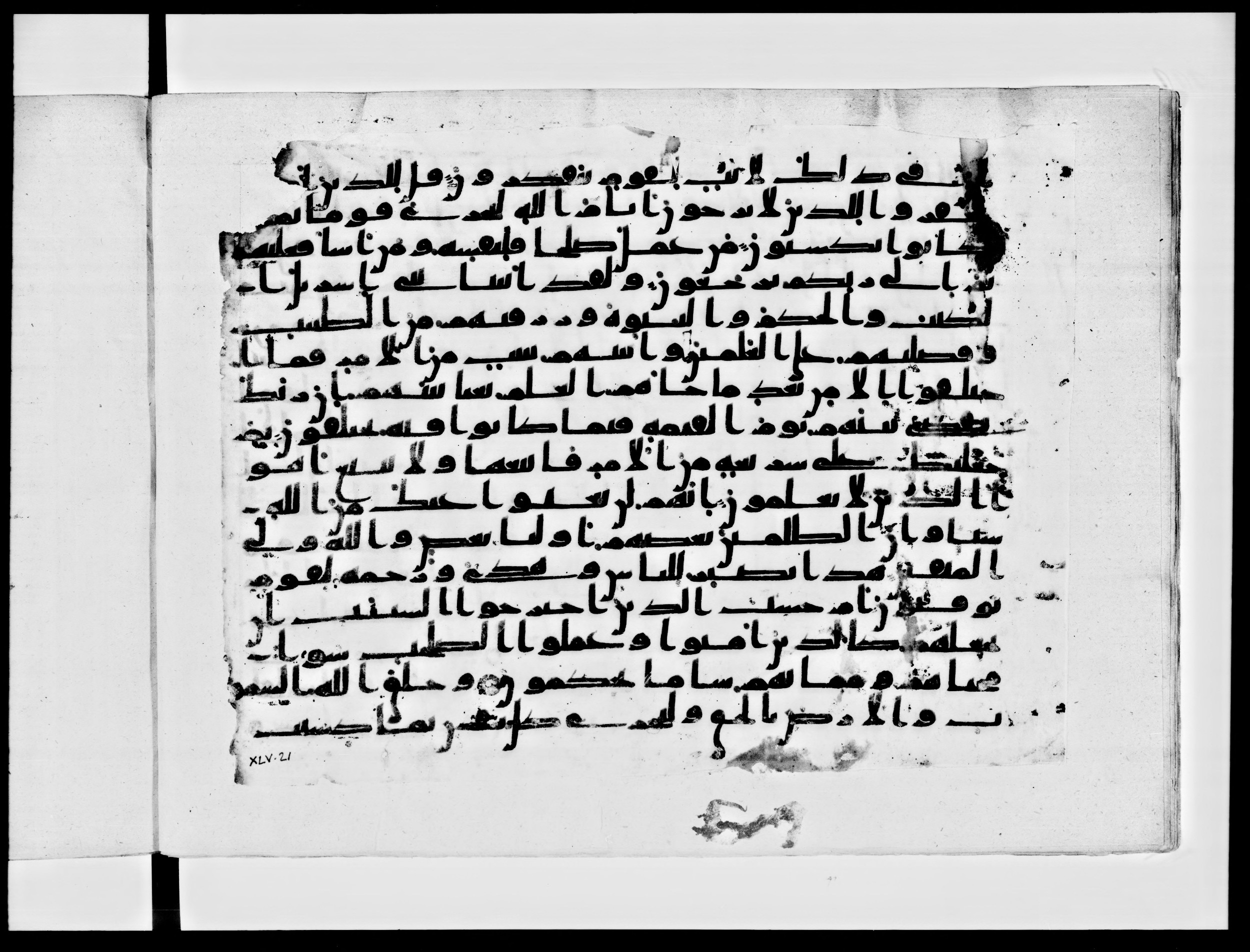 Paris, Bibliothèque nationale de France, Arabe 334 (b) (Scan 3), in Kūfī C.Ib script, showing Surah 45:13 from 8th to 9th Century AD found in al-Fusṭāṭ, Egypt, currently housed at Bibliothèque nationale de France, Paris
