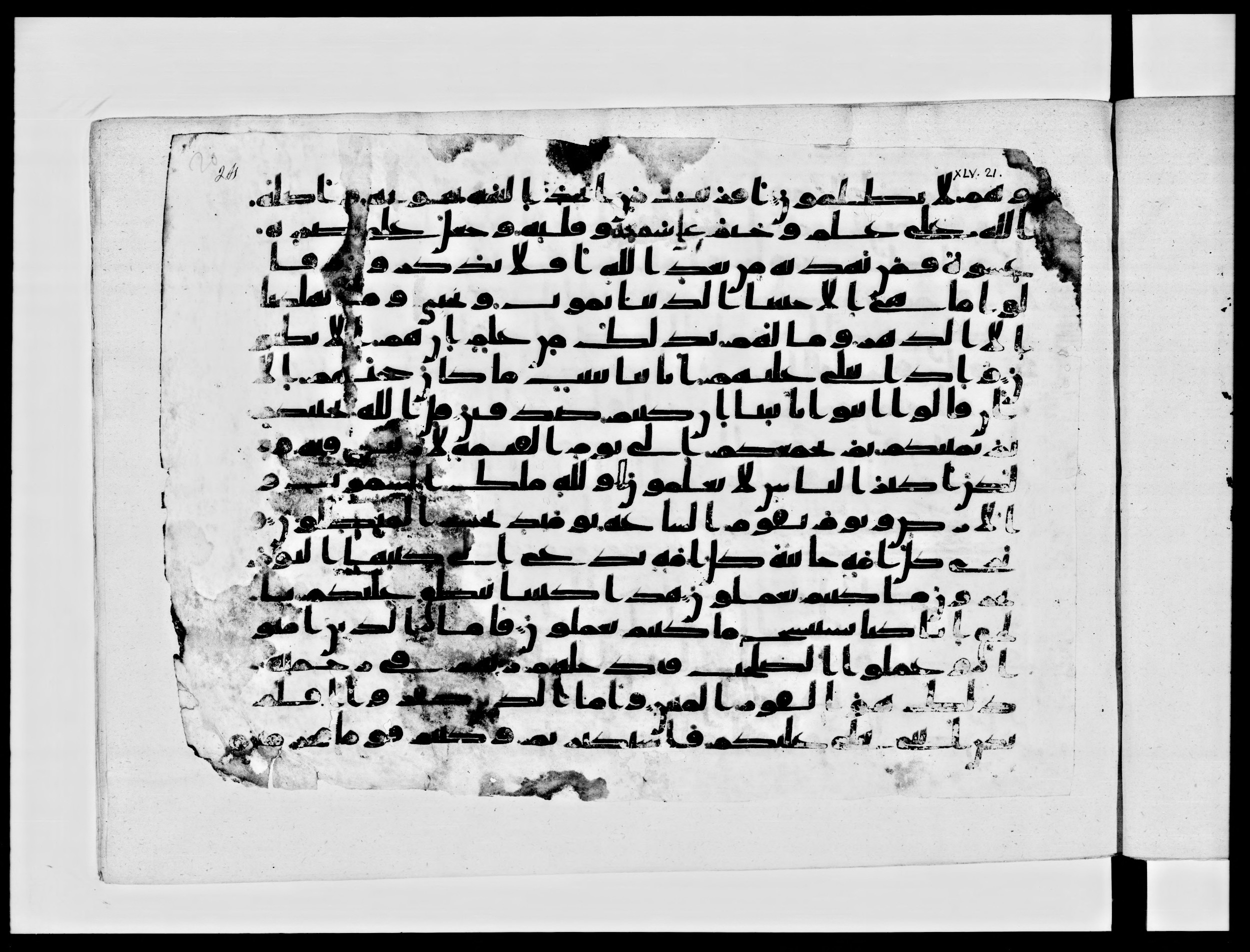 Paris, Bibliothèque nationale de France, Arabe 334 (b) (Scan 1), in Kūfī C.Ib script, showing Surah 45:29 from 8th to 9th Century AD found in al-Fusṭāṭ, Egypt, currently housed at Bibliothèque nationale de France, Paris