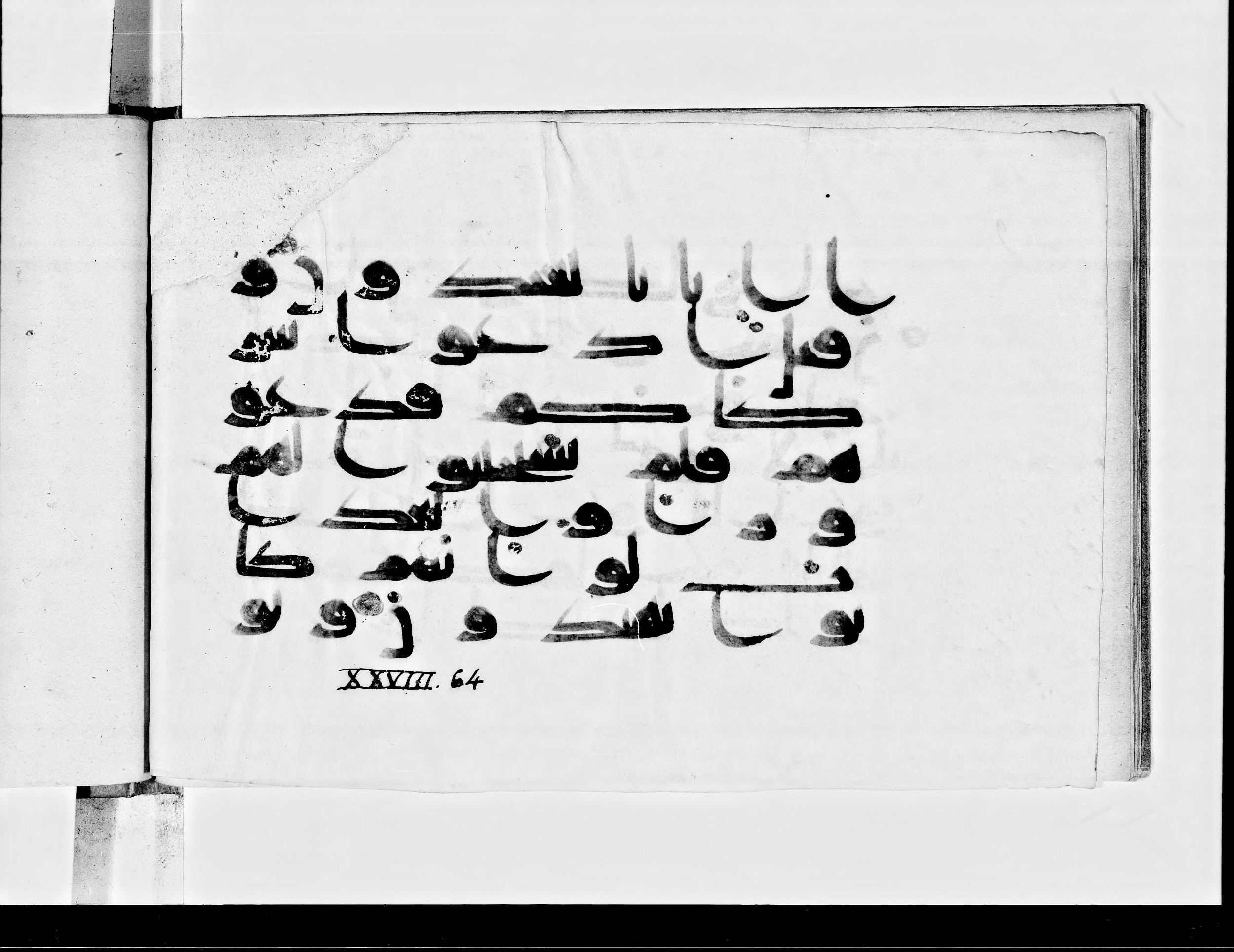 Paris, Bibliothèque nationale de France, Arabe 360 (b), in Kufic D script, showing Surah 28:65 from Mid 8th to Late 9th Century AD found in Fustat (Old Cairo), Egypt, currently housed at Bibliothèque nationale de France, Paris