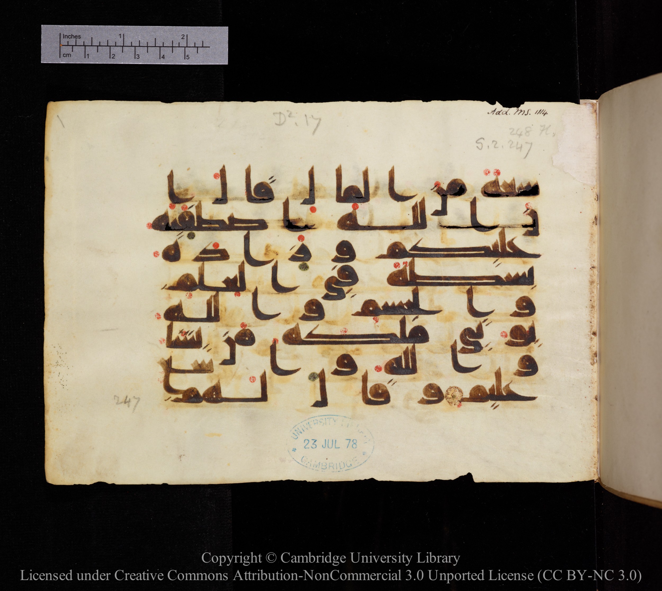 Cambridge, Cambridge University Library, MS Add.1114, in kūfī D.I script, showing Surah 2:247 from 9th to 10th Century AD found in Sinai Peninsula, currently housed at Cambridge University Library, Cambridge