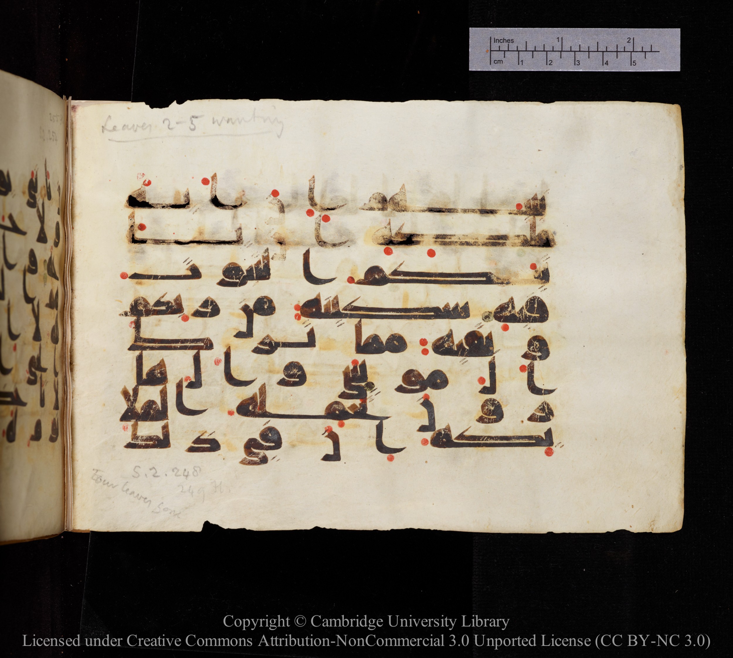 Cambridge, Cambridge University Library, MS Add.1114 (Scan 2), in kūfī D.I script, showing Surah 2:248 from 9th to 10th Century AD found in Sinai Peninsula, currently housed at Cambridge University Library, Cambridge
