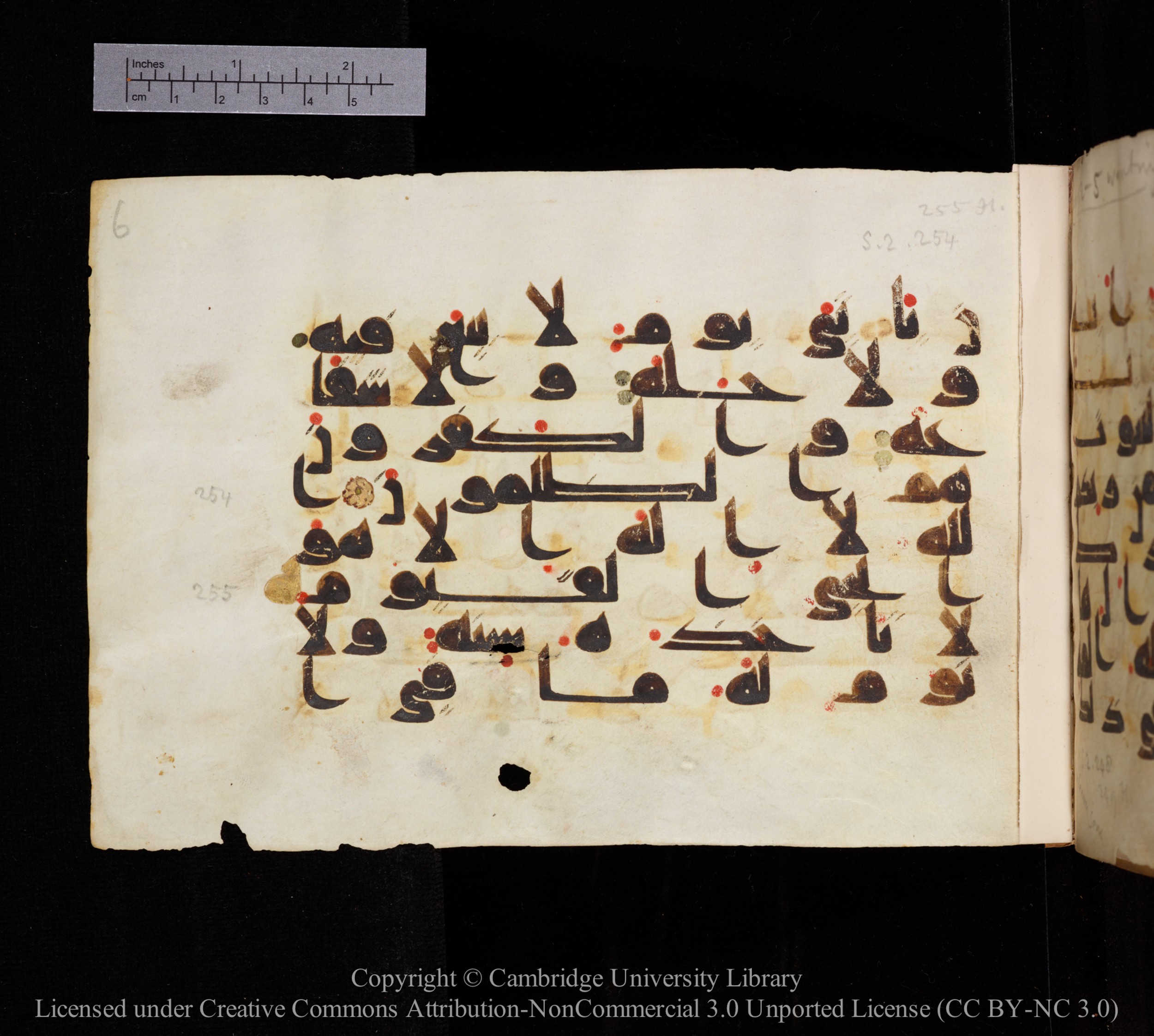 Cambridge, Cambridge University Library, MS Add.1114 (Scan 1), in kūfī D.I script, showing Surah 2:255 from 9th to 10th Century AD found in Sinai Peninsula, currently housed at Cambridge University Library, Cambridge
