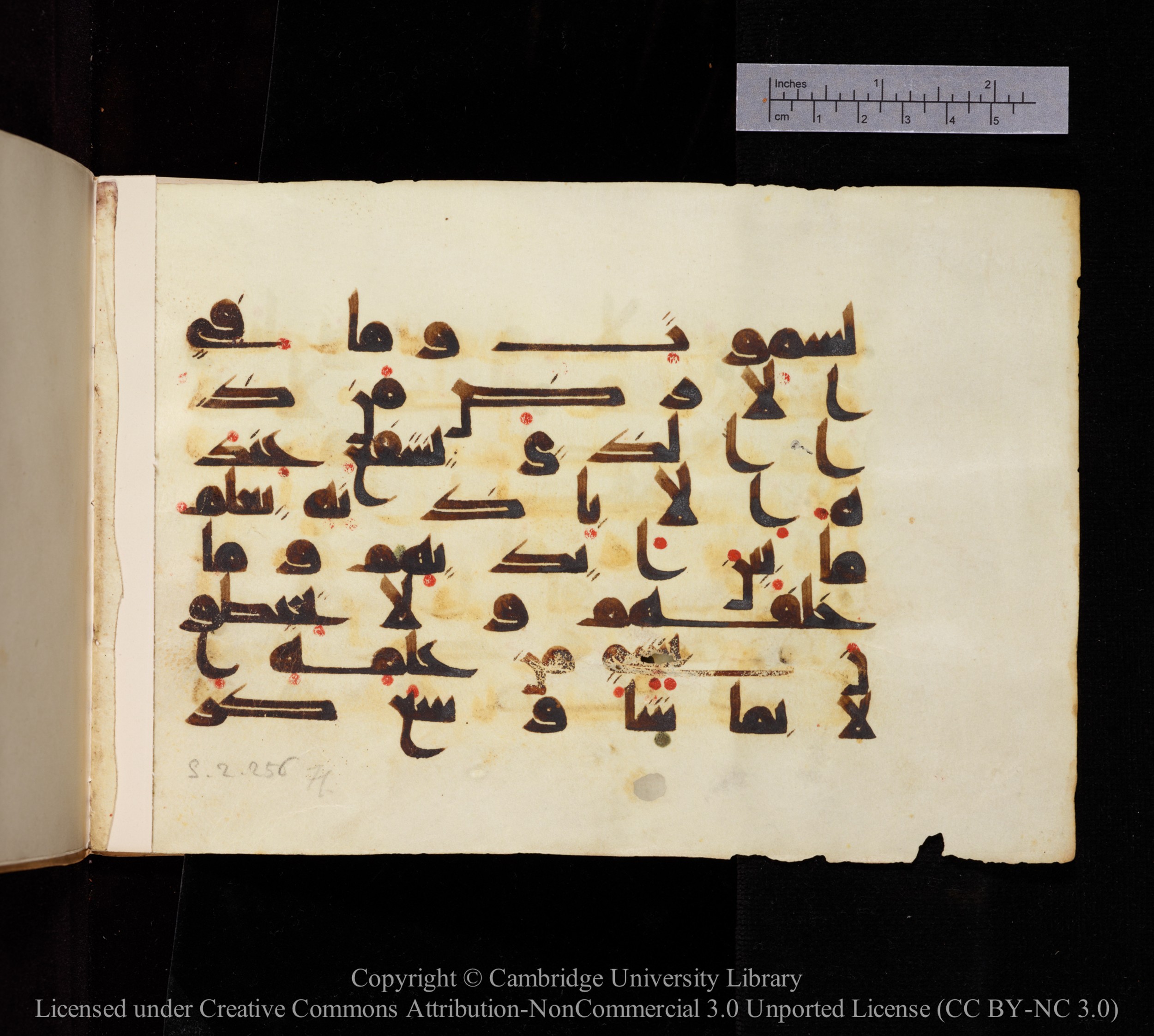 Cambridge, Cambridge University Library, MS Add.1114 (Scan 2), in kūfī D.I script, showing Surah 2:255 from 9th to 10th Century AD found in Sinai Peninsula, currently housed at Cambridge University Library, Cambridge