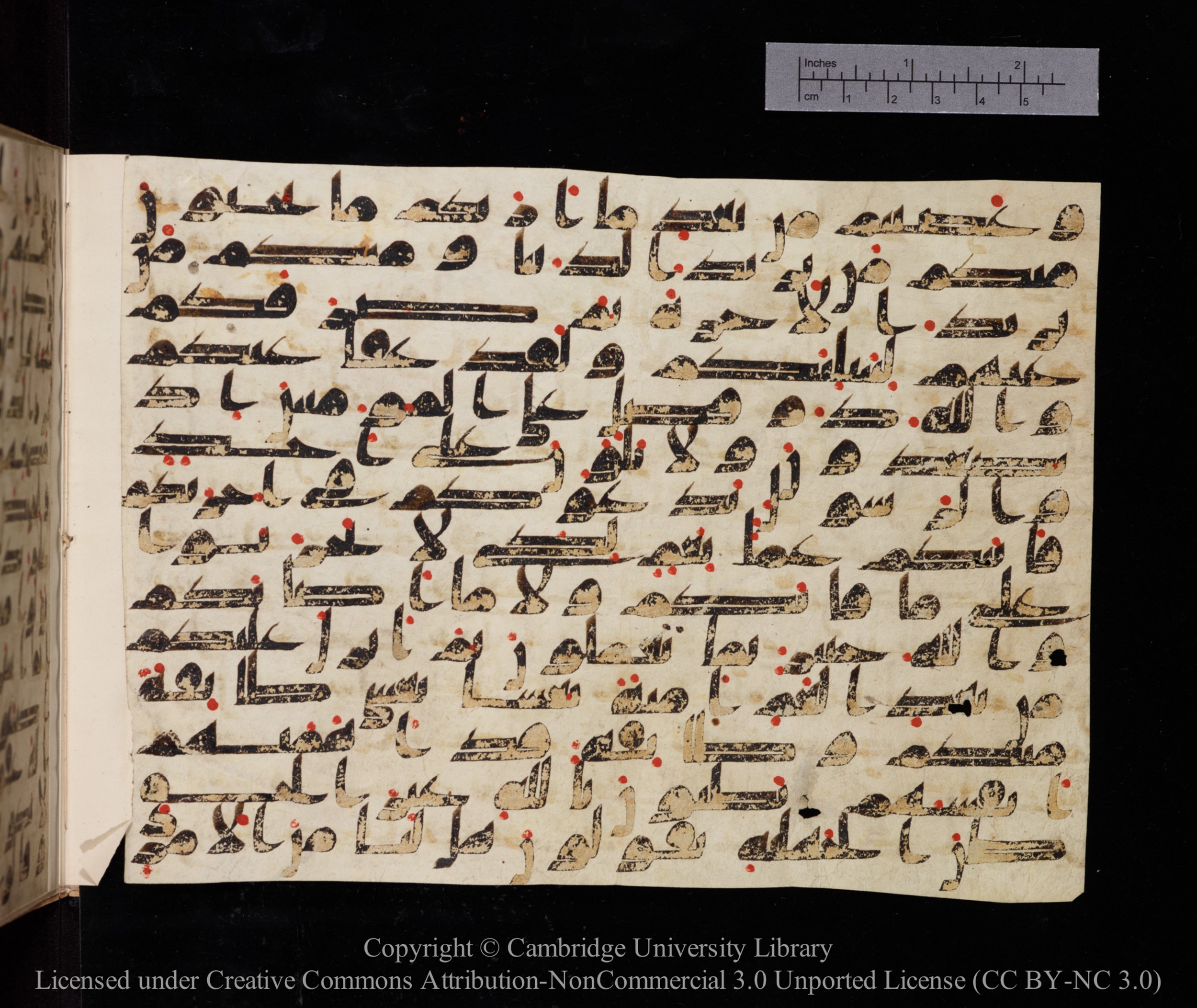 Cambridge University Library, MS Add.1118 (Scan 2), in kūfī D common script, showing Surah 3:152 from 9th or 10th century AD found in Sinai Peninsula, currently housed at Cambridge University Library, Cambridge