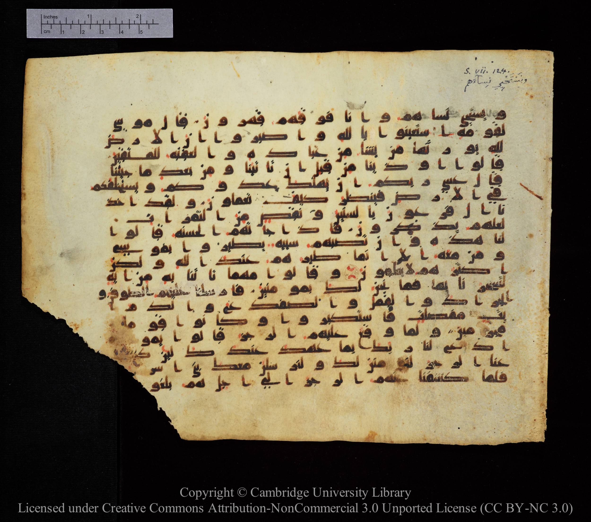 Cambridge, Cambridge University Library, MS Add.1123, in kūfī D.IV script, showing Surah 7:129 from 9th to 10th Century AD found in Sinai Peninsula, currently housed at Cambridge University Library, Cambridge