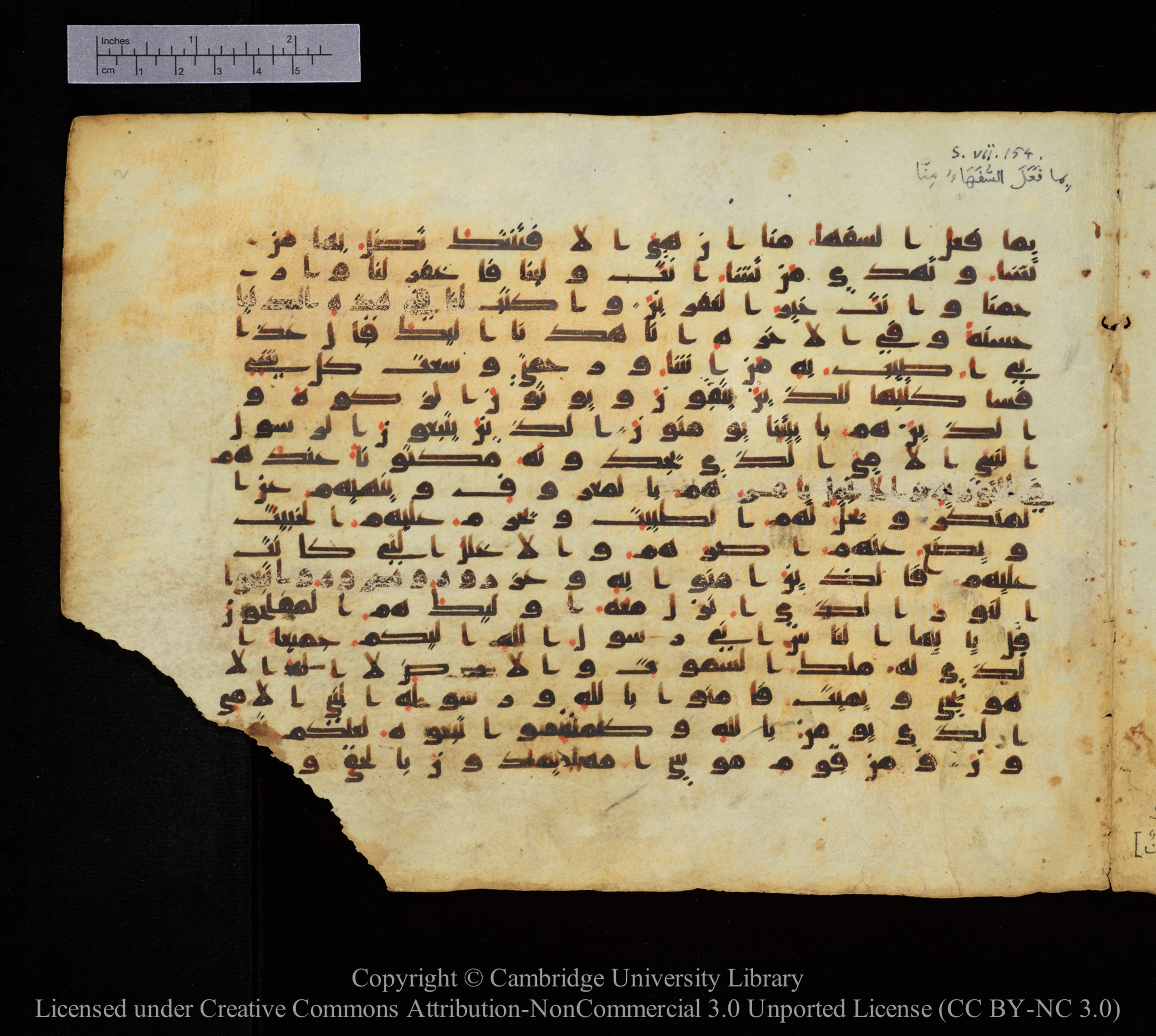 Cambridge, Cambridge University Library, MS Add.1123, in kūfī D.IV script, showing Surah 7:157 from 9th to 10th Century AD found in Sinai Peninsula, currently housed at Cambridge University Library, Cambridge